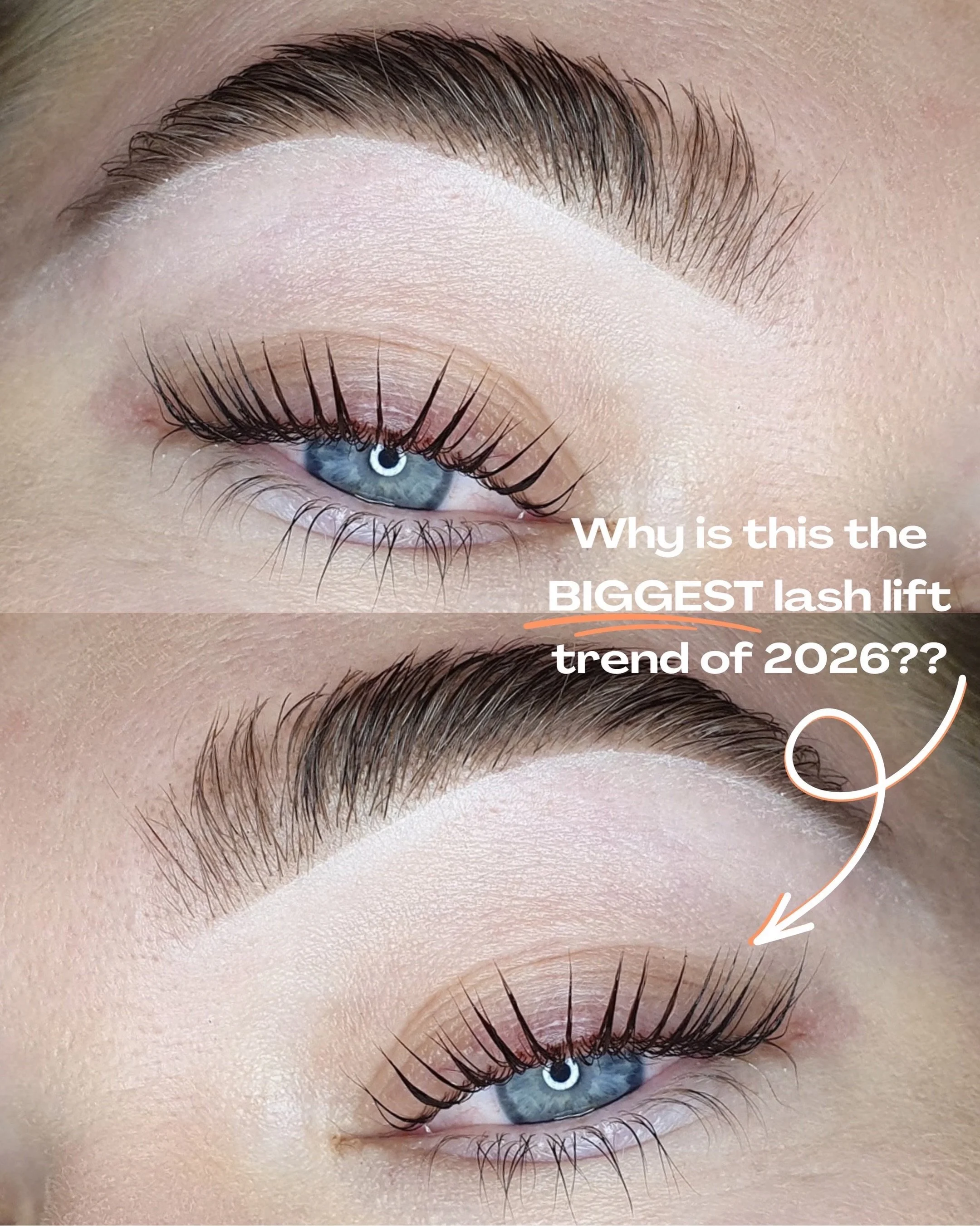 Have you heard our BIG news?? 👀🎀
Korean Lash Lifts have OFFICIALLY launched and they&rsquo;re ONLY $95 😍
BIGGER, better lashes made for fluttering, flirting (and getting exactly what you want 🫦🤭)

A promo this good isnt going to last&hellip; Cli