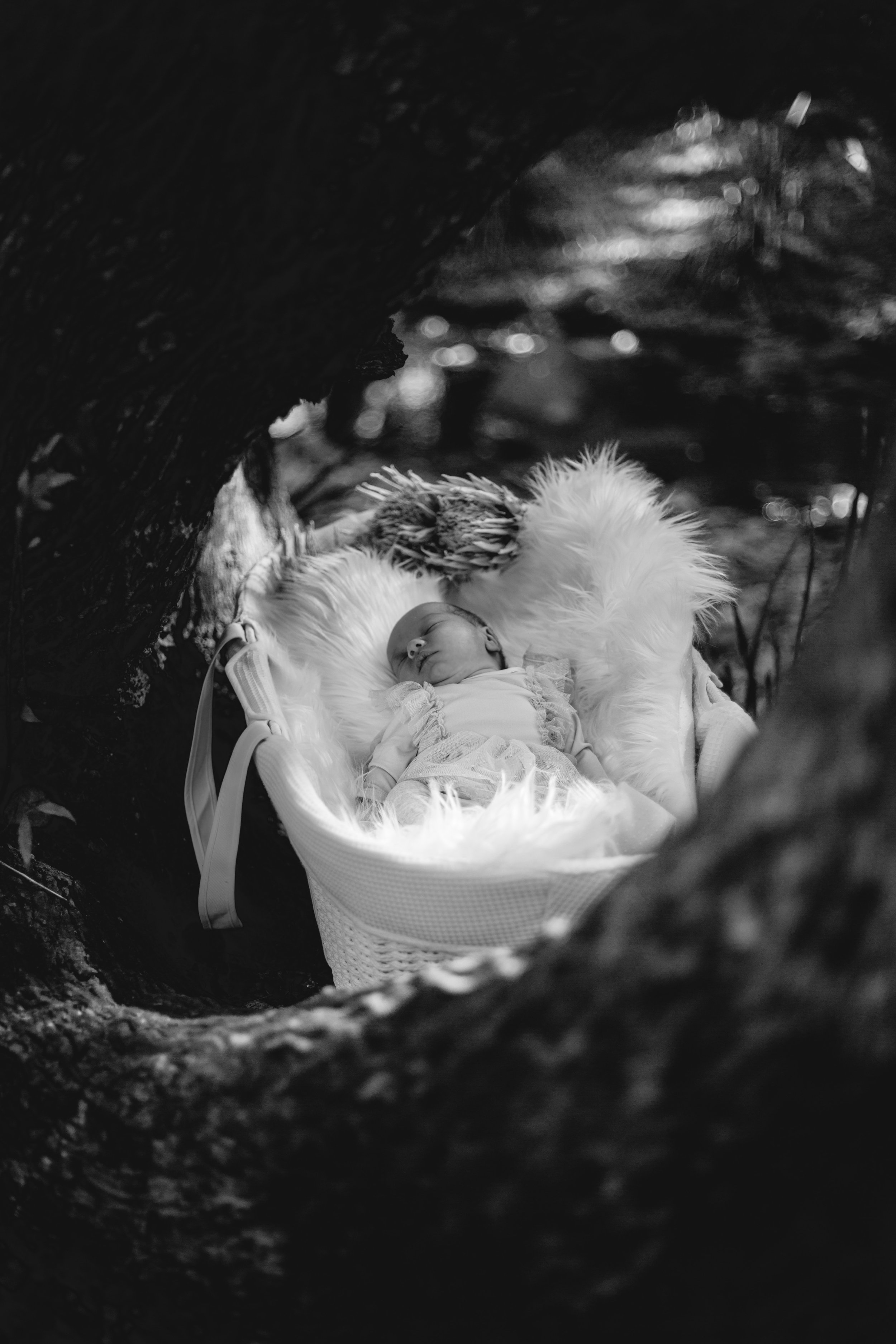 TEST (7 of 5).jpg