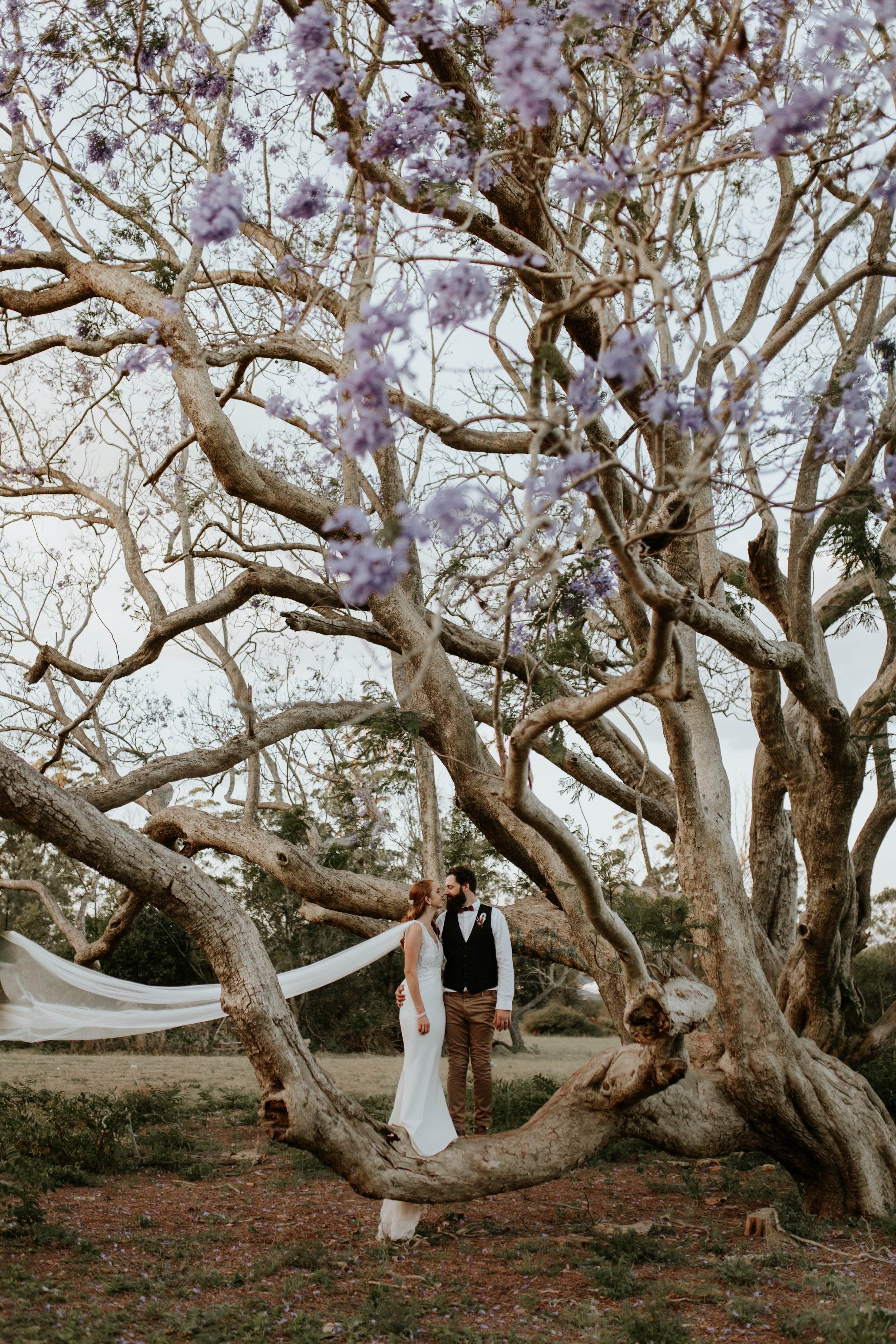 DawsonWedding20-687.jpg