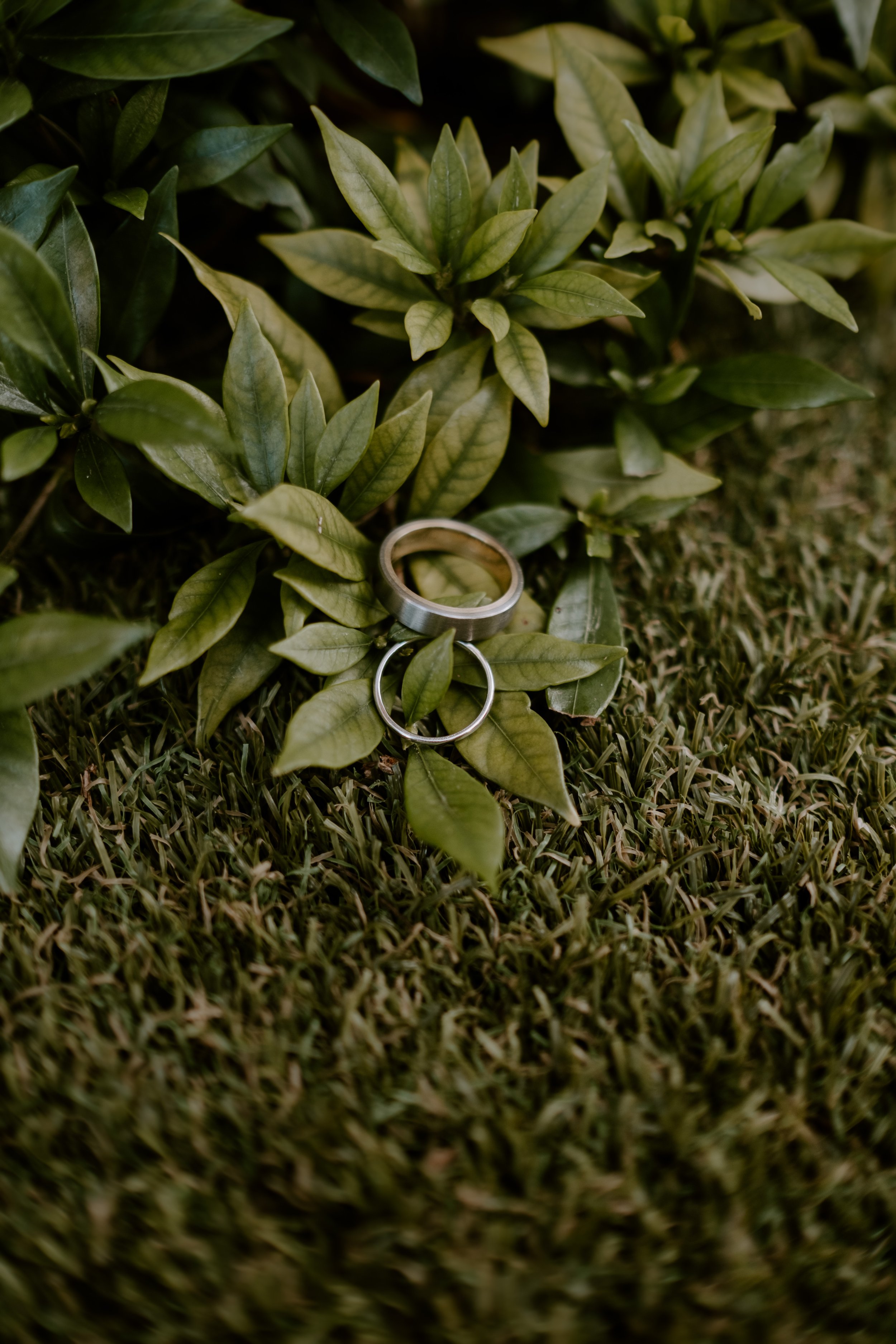 Hillsswedding21-13.jpg