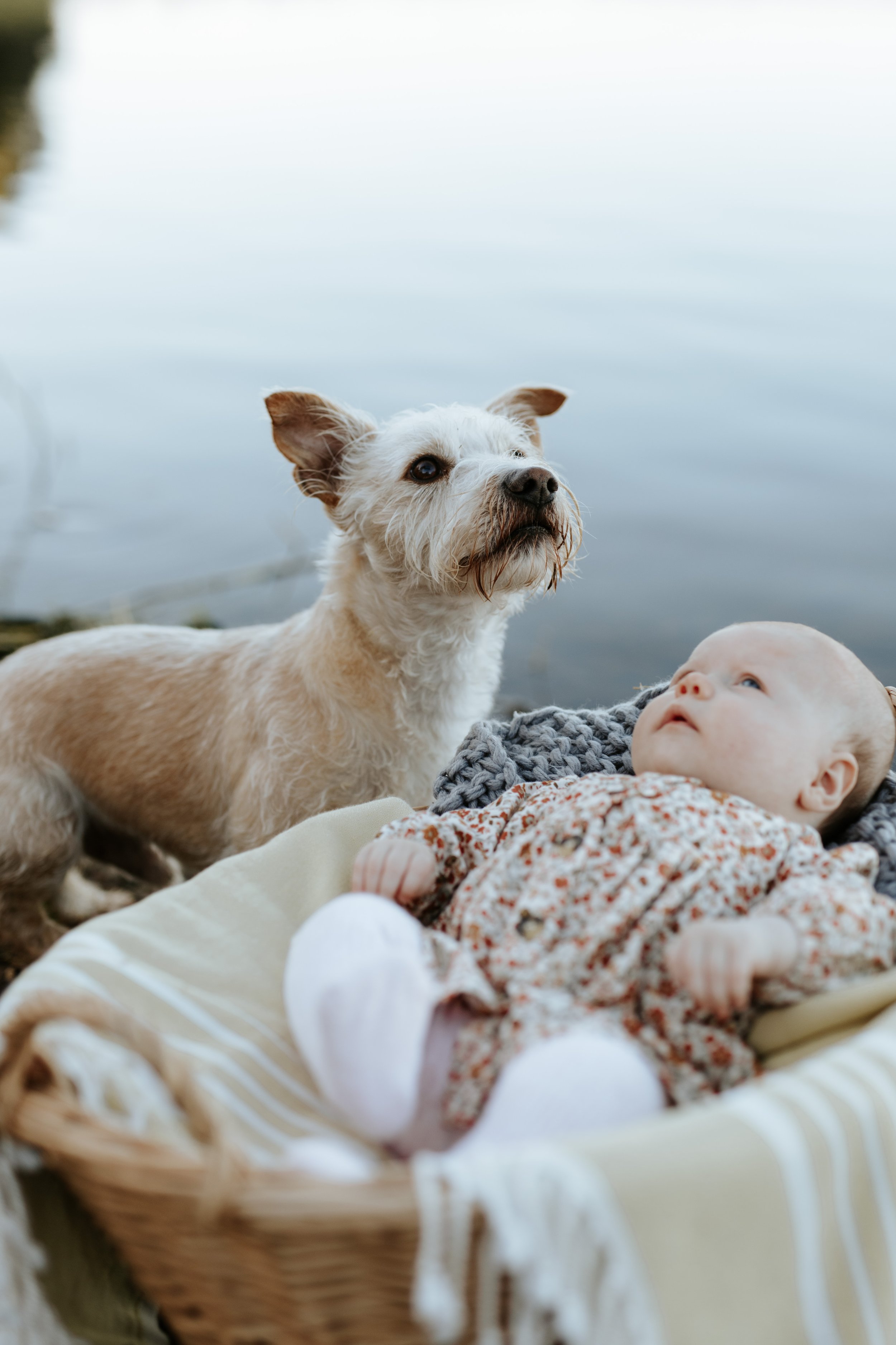 KirbyNewBorn-83.jpg