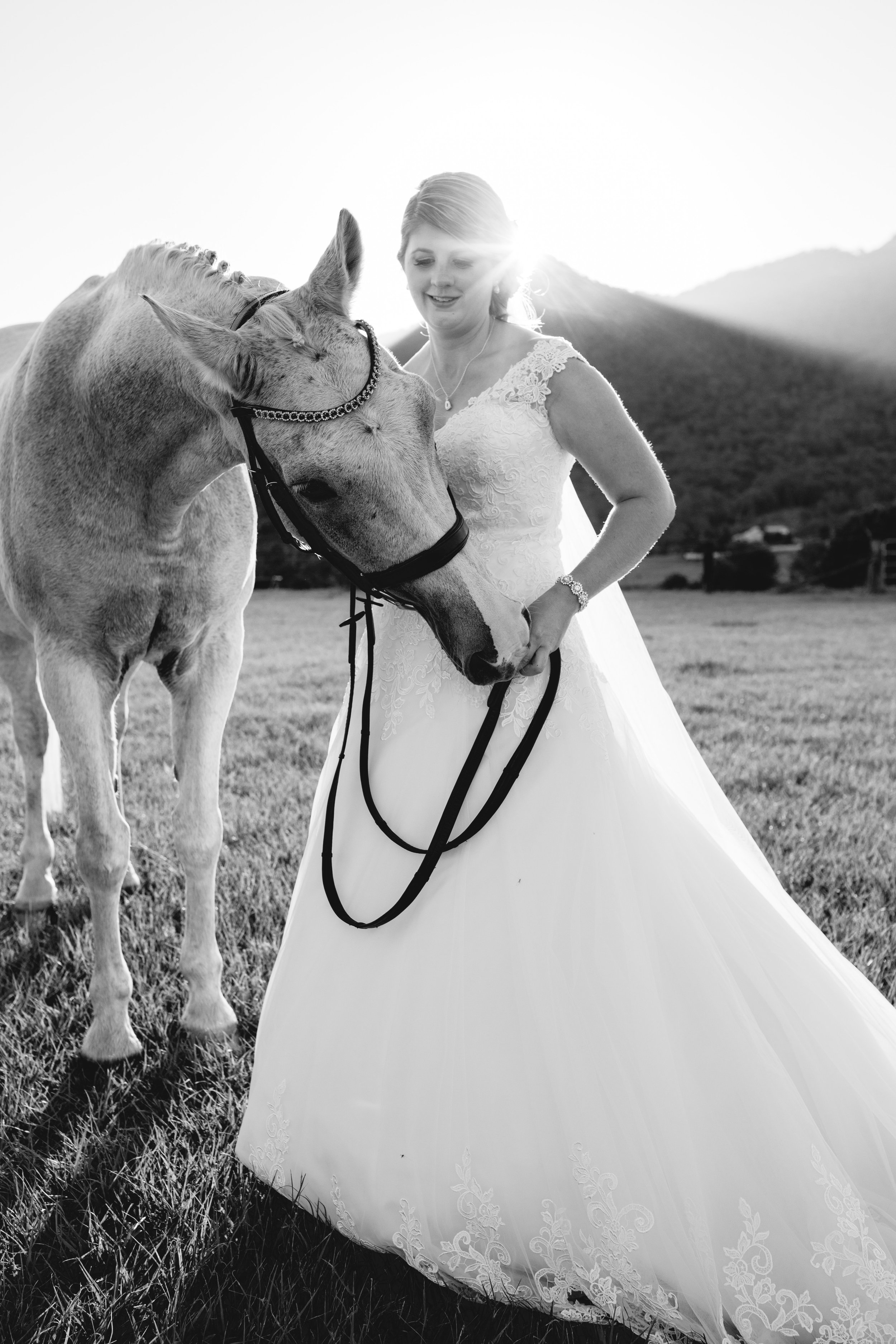 Schillerwedding2019-528.jpg