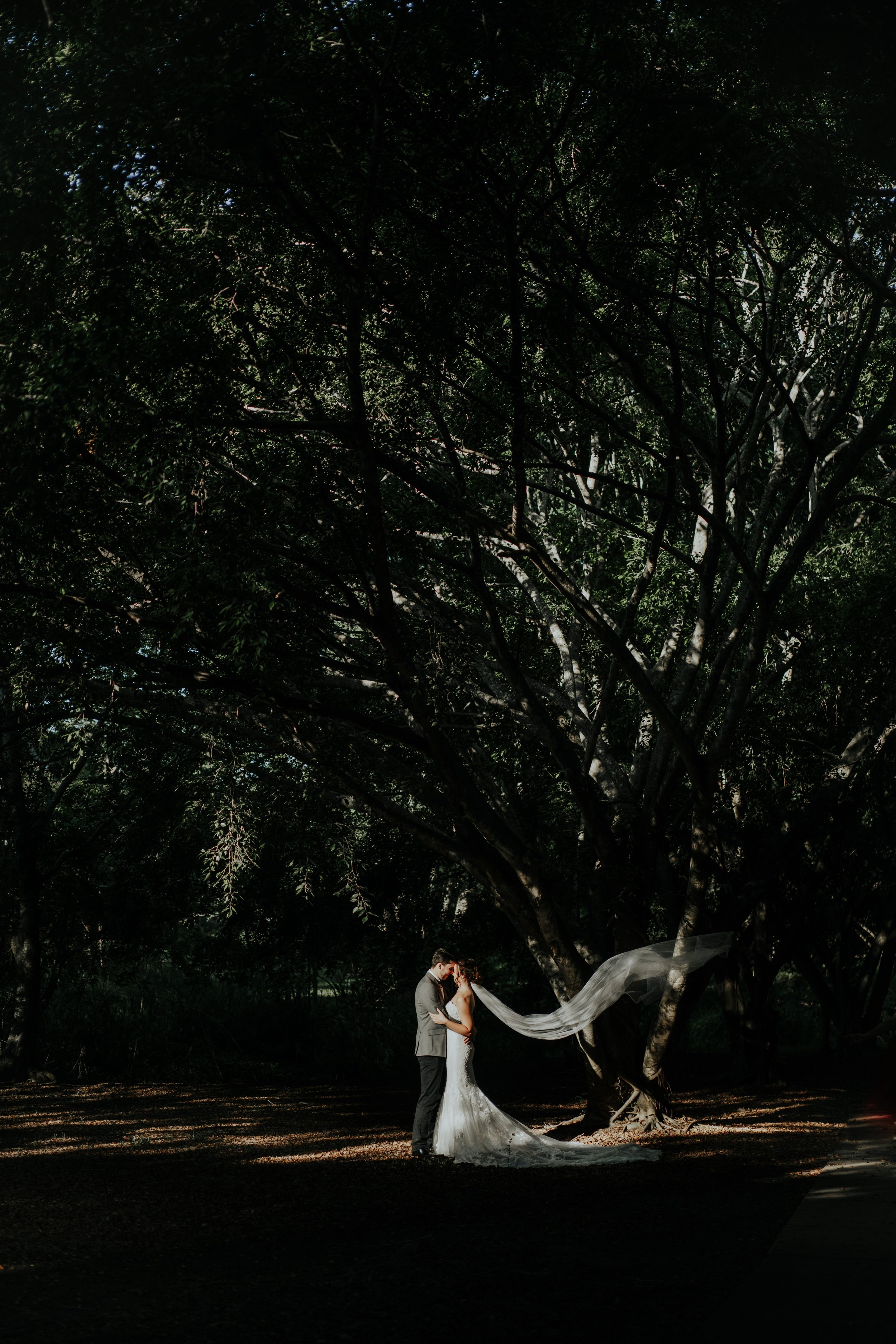 EdwardsWedding2019-562.jpg