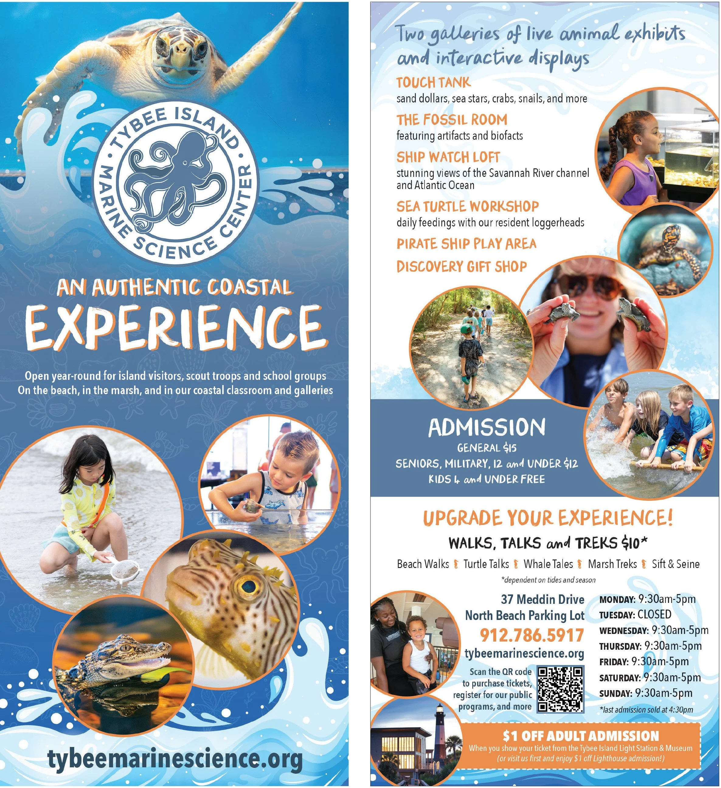Tybee Marine Science Center.jpg