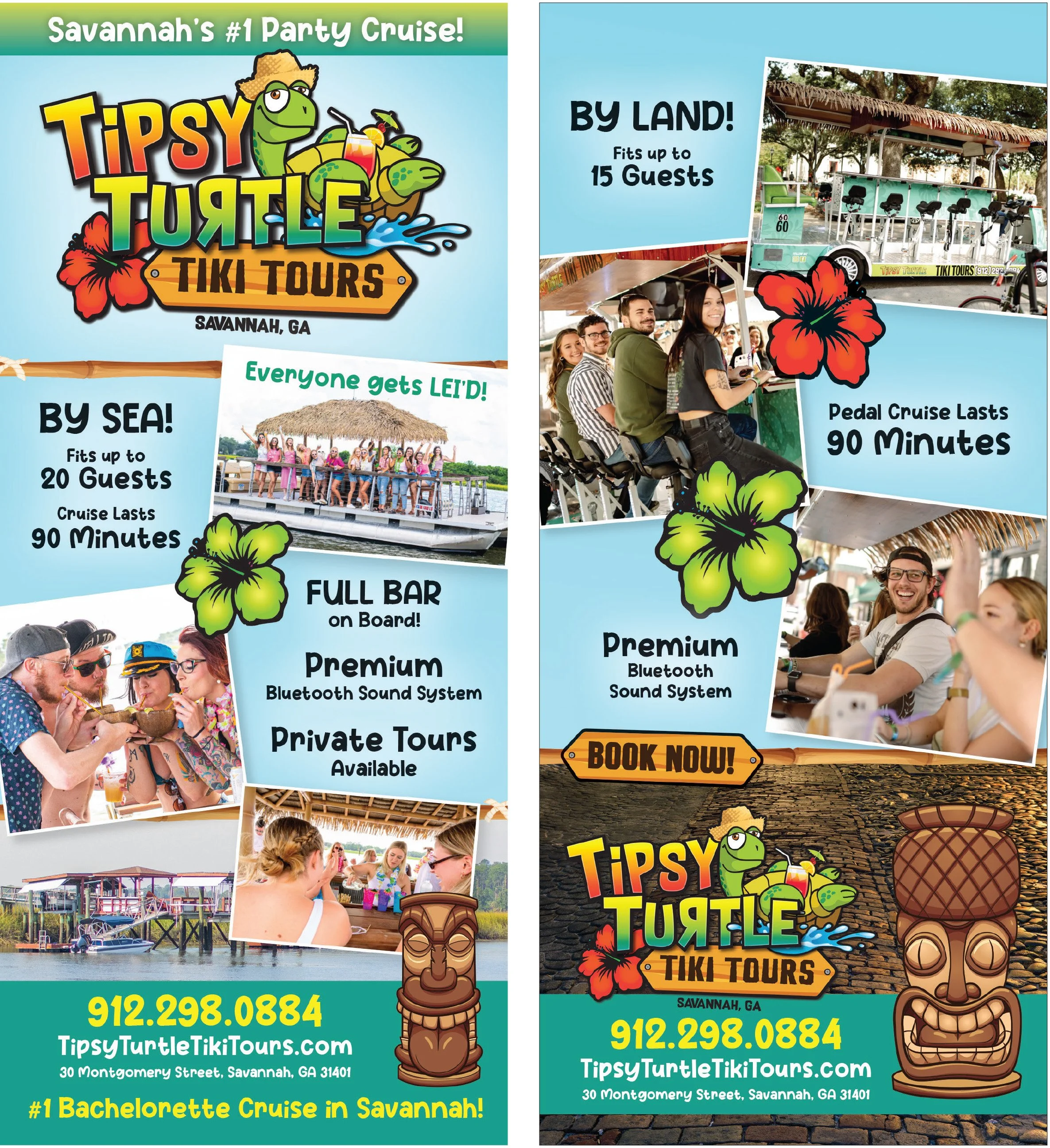 Tipsy Turtle.jpg