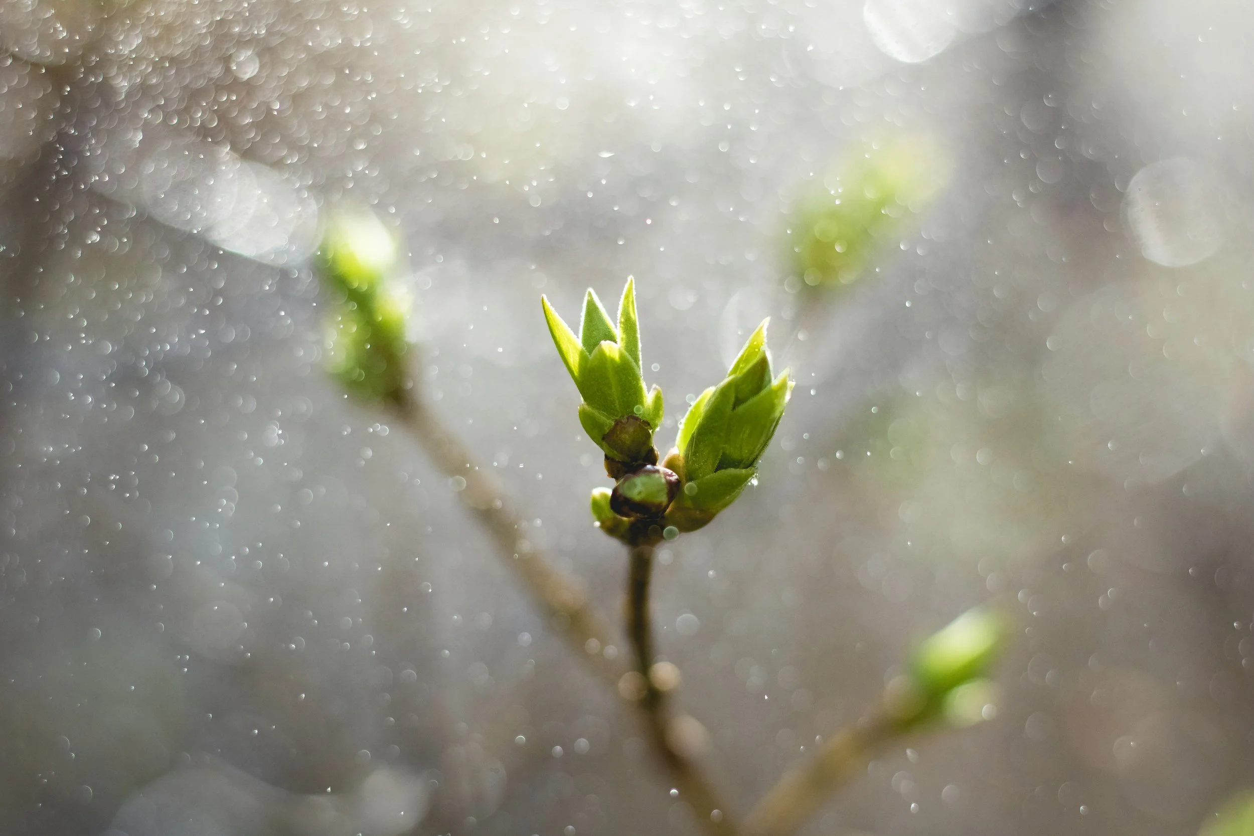 april 16, 2021