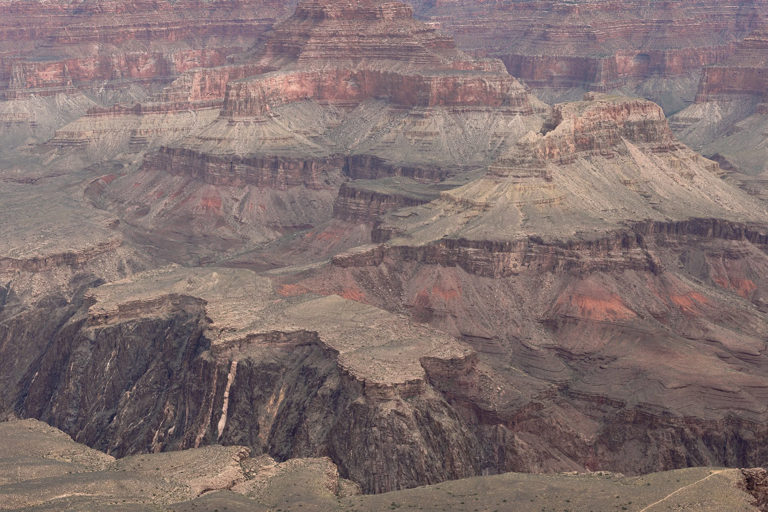 Grand Canyon.WindiGo23.Edits.WEB-6.jpg