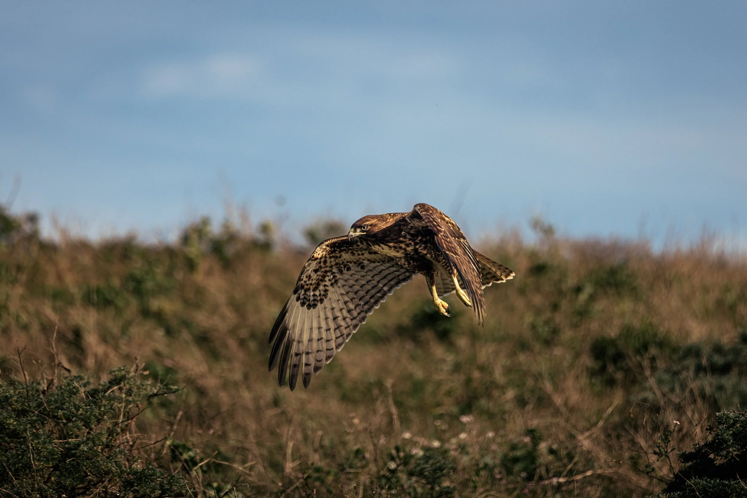 Maxoutthere.Point Reyes.2025-25.jpg