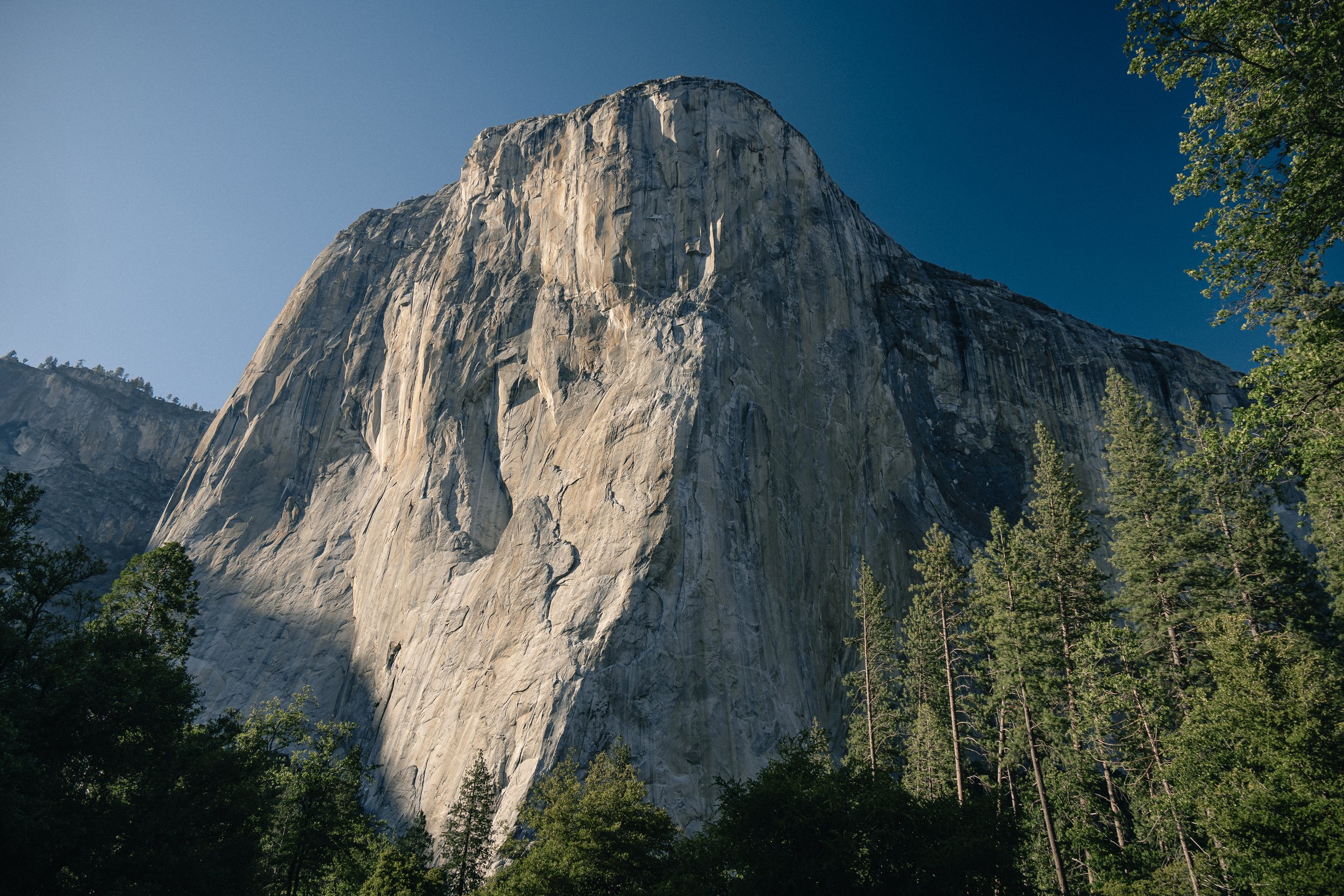 Yosemite.2026.Panoramic Trail-2.jpg