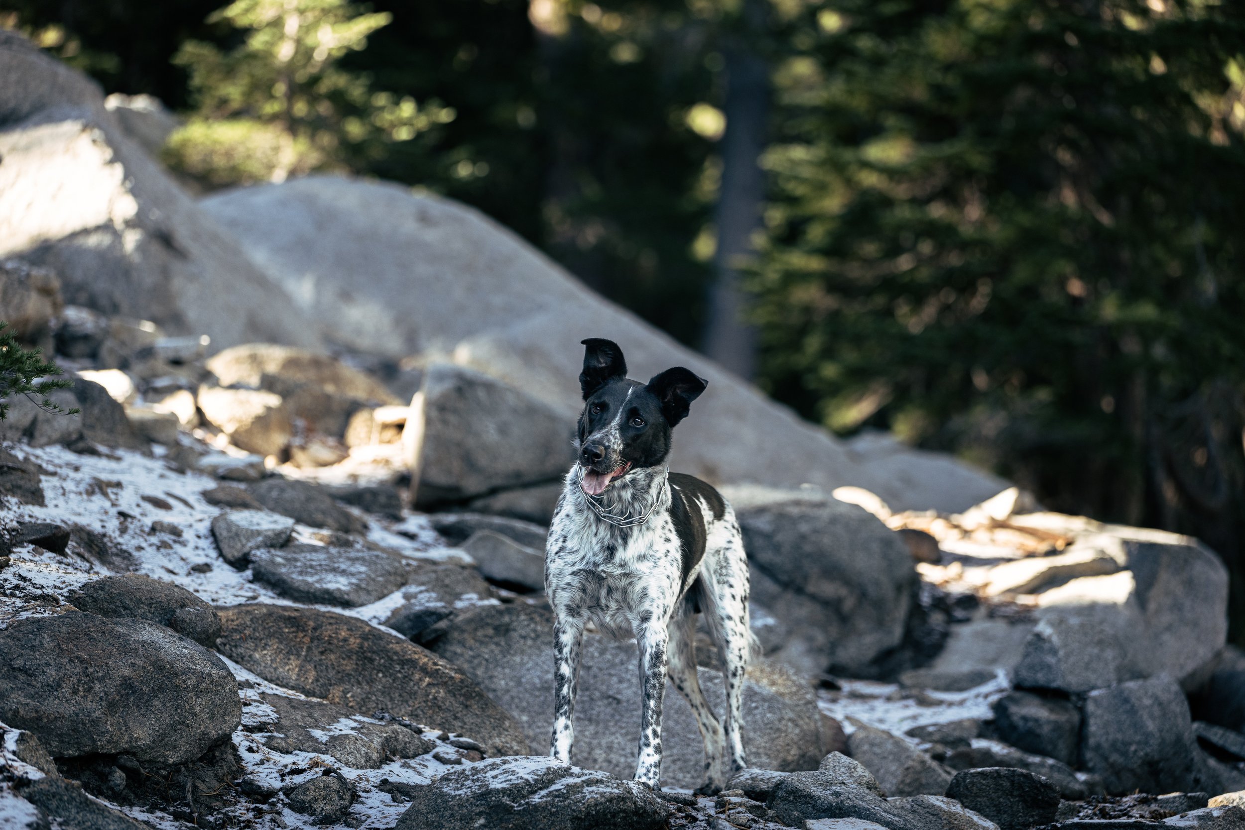 Lake Tahoe.Mt Rubicon.2025-4.jpg
