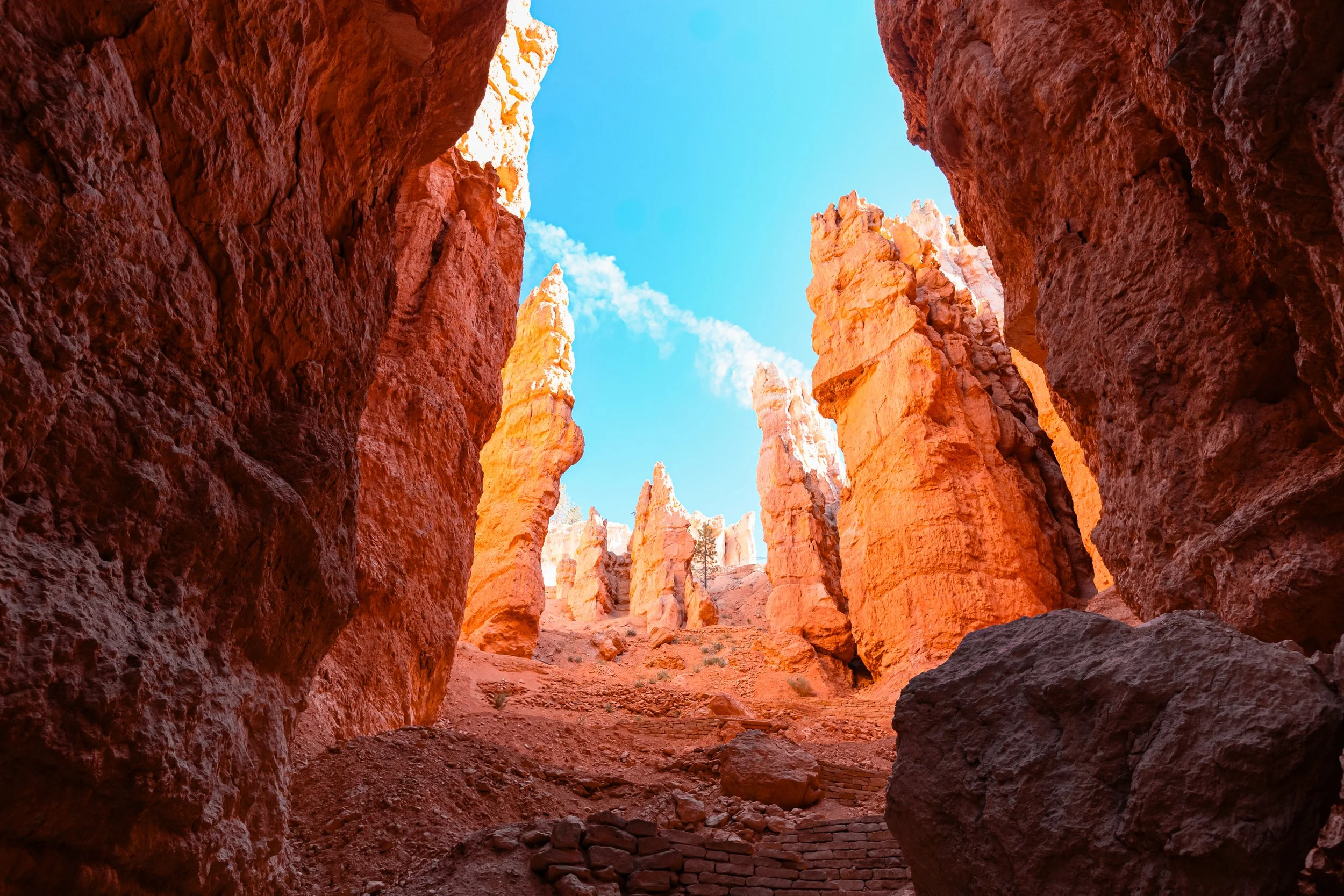 Bryce Canyon National Park Facts: Elevation, Hoodoos, and Hiking Trails.