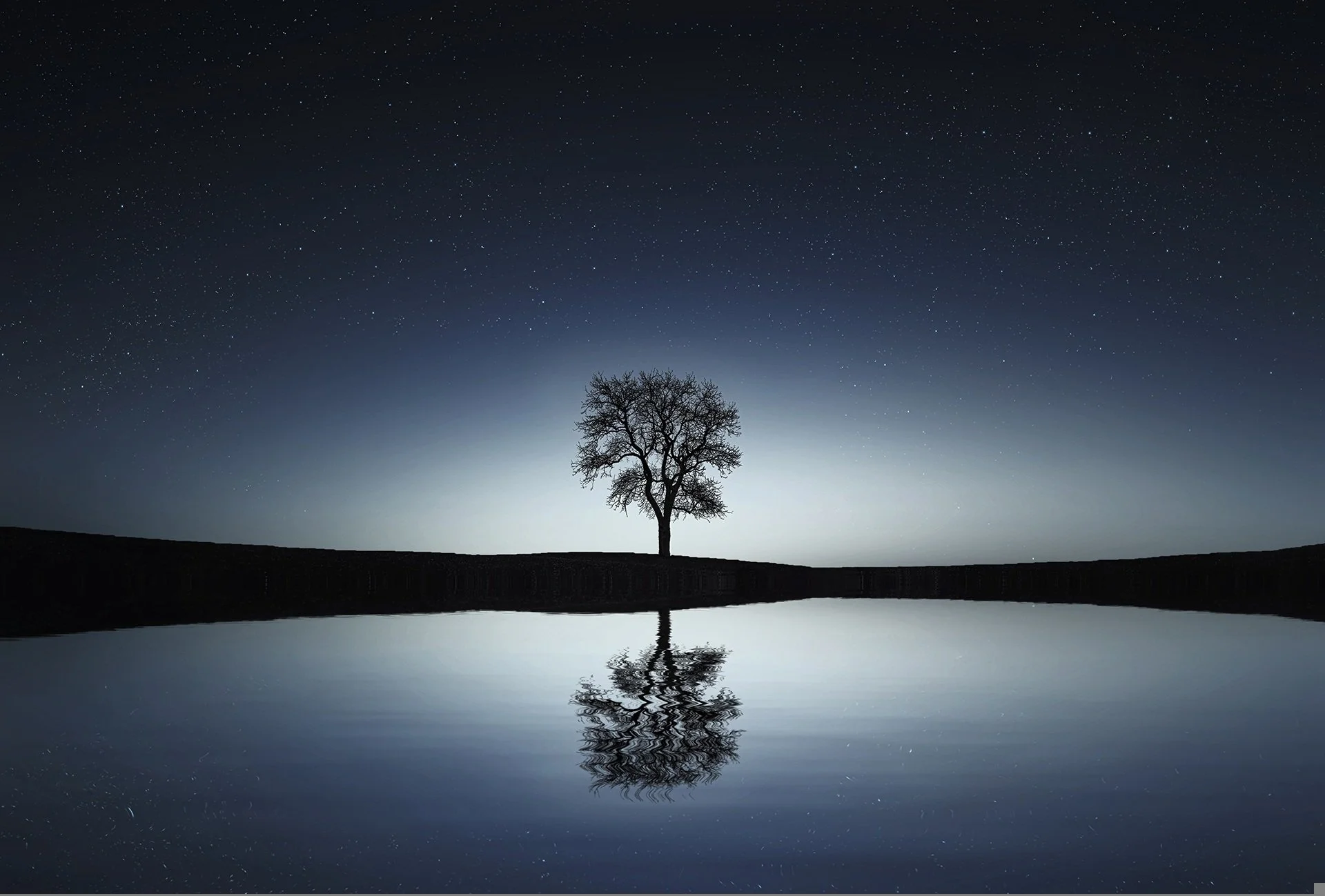 Holding a Complex Grief