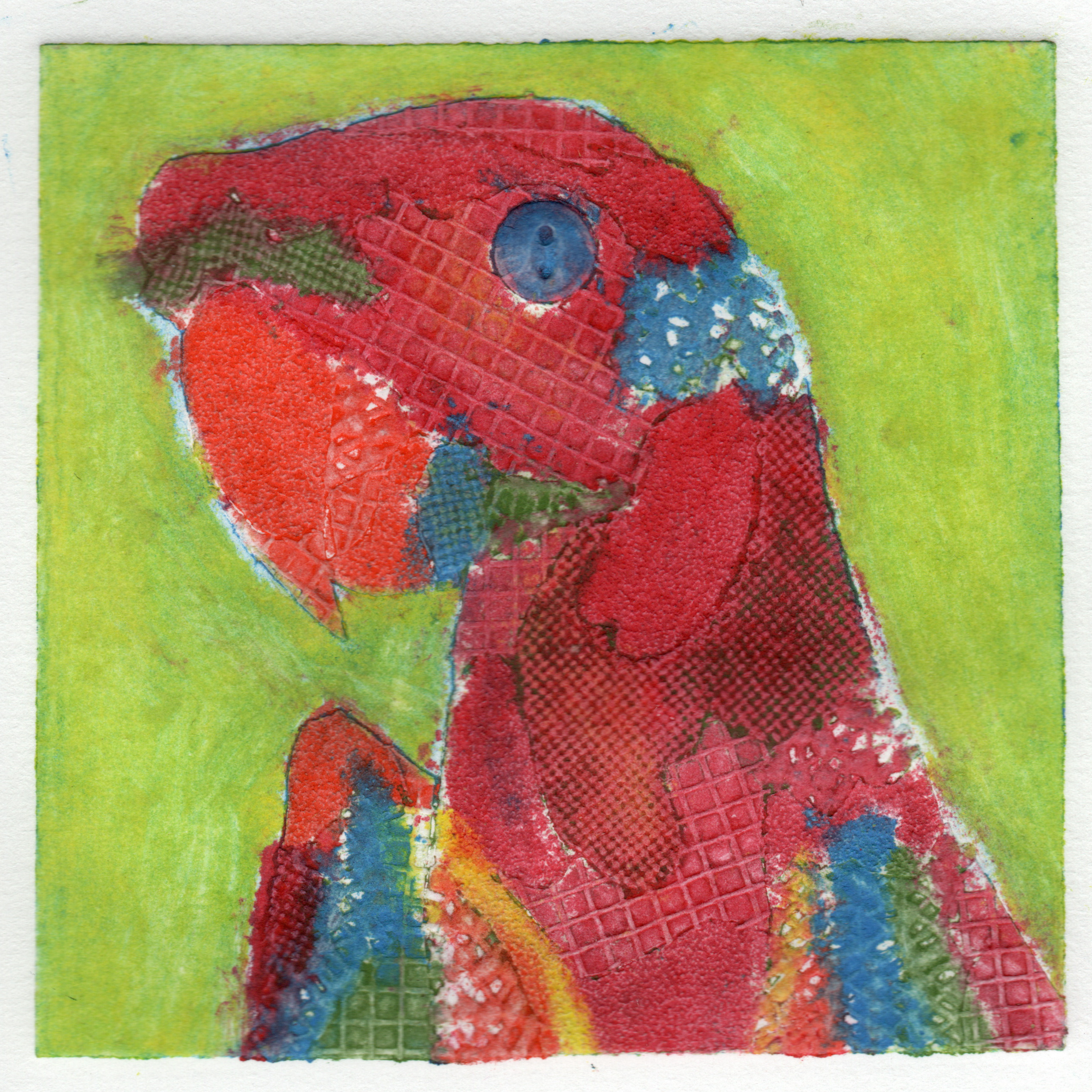Parrot 1.png