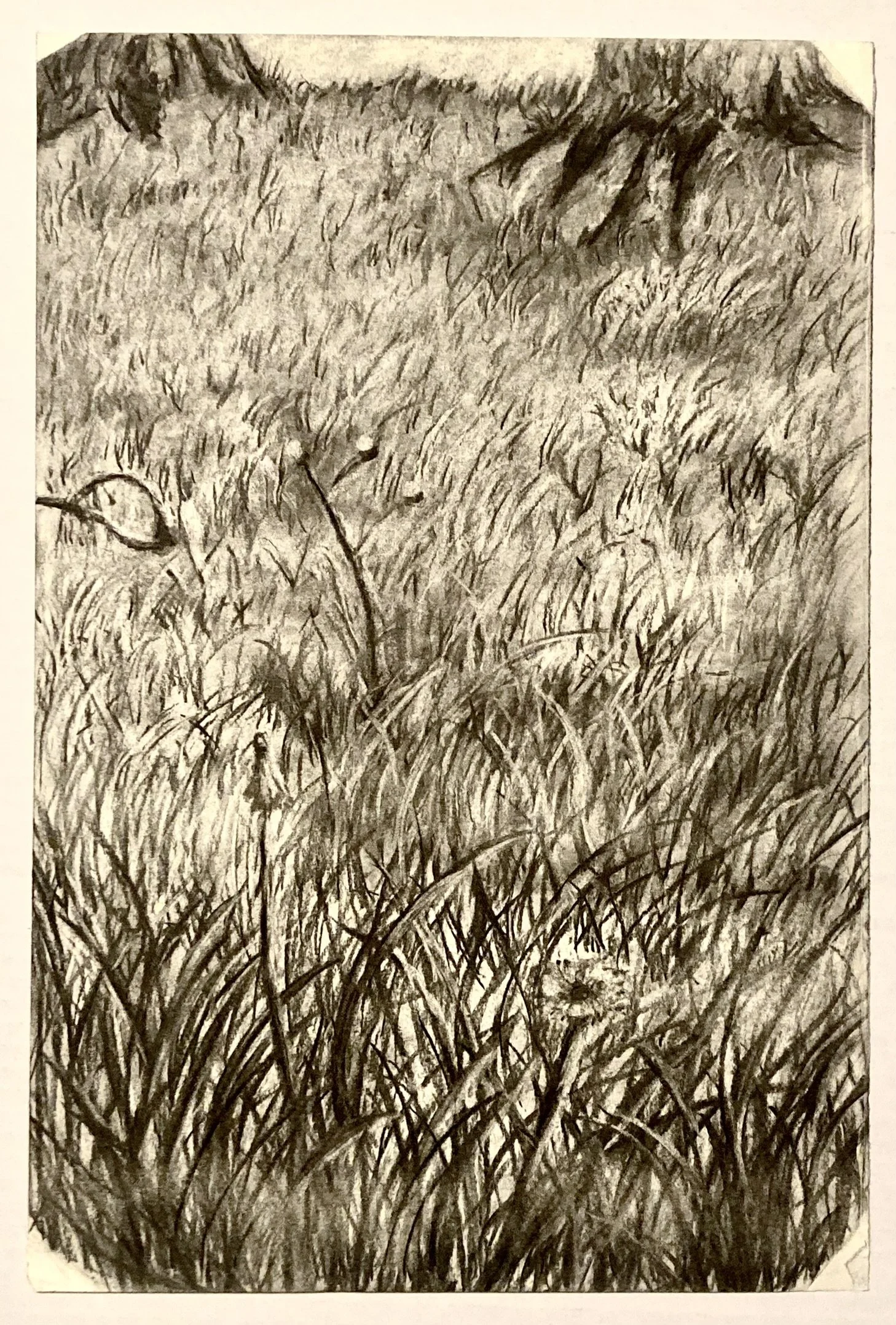 Landscape (12"x18")