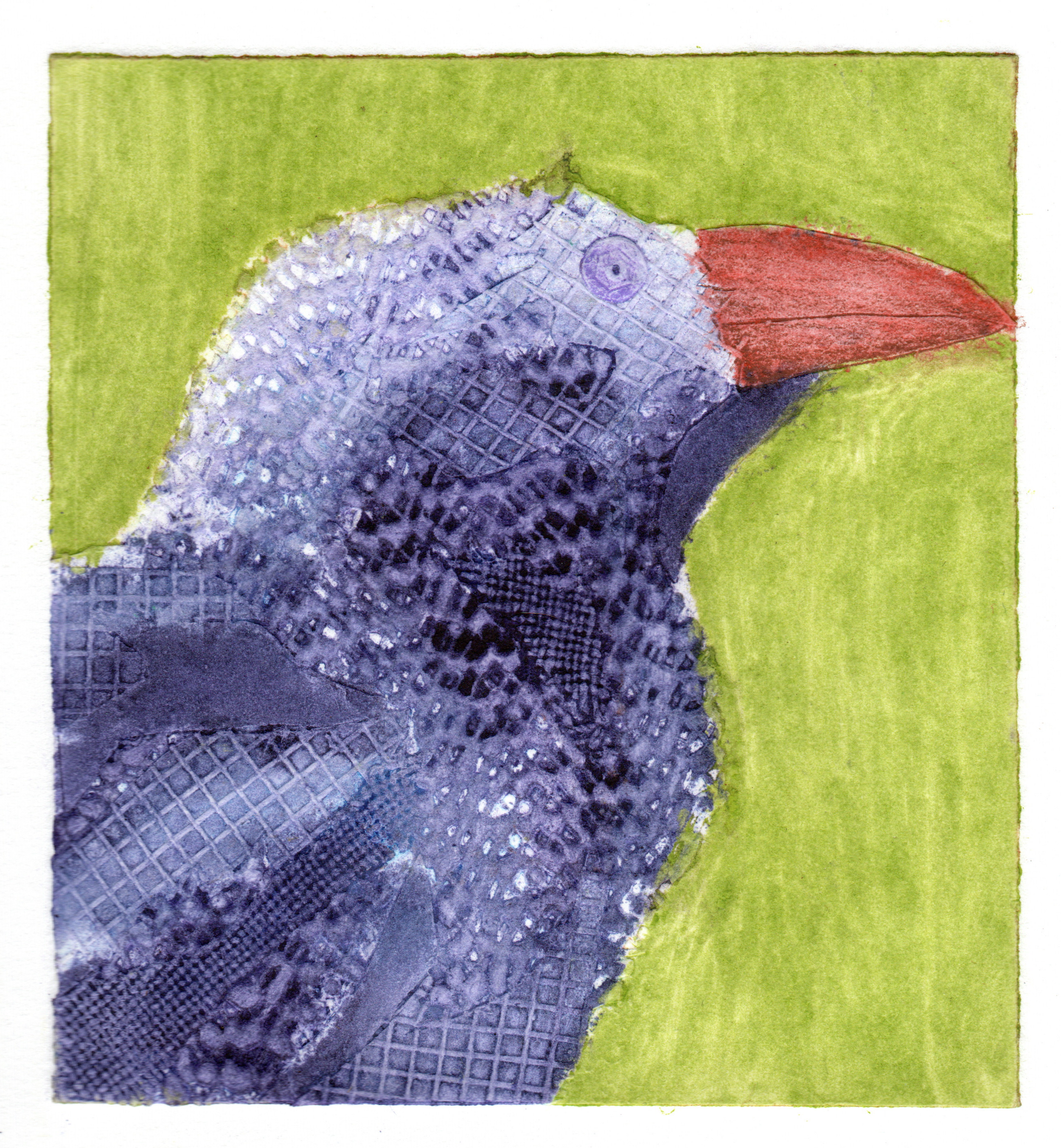 Crow 2.png
