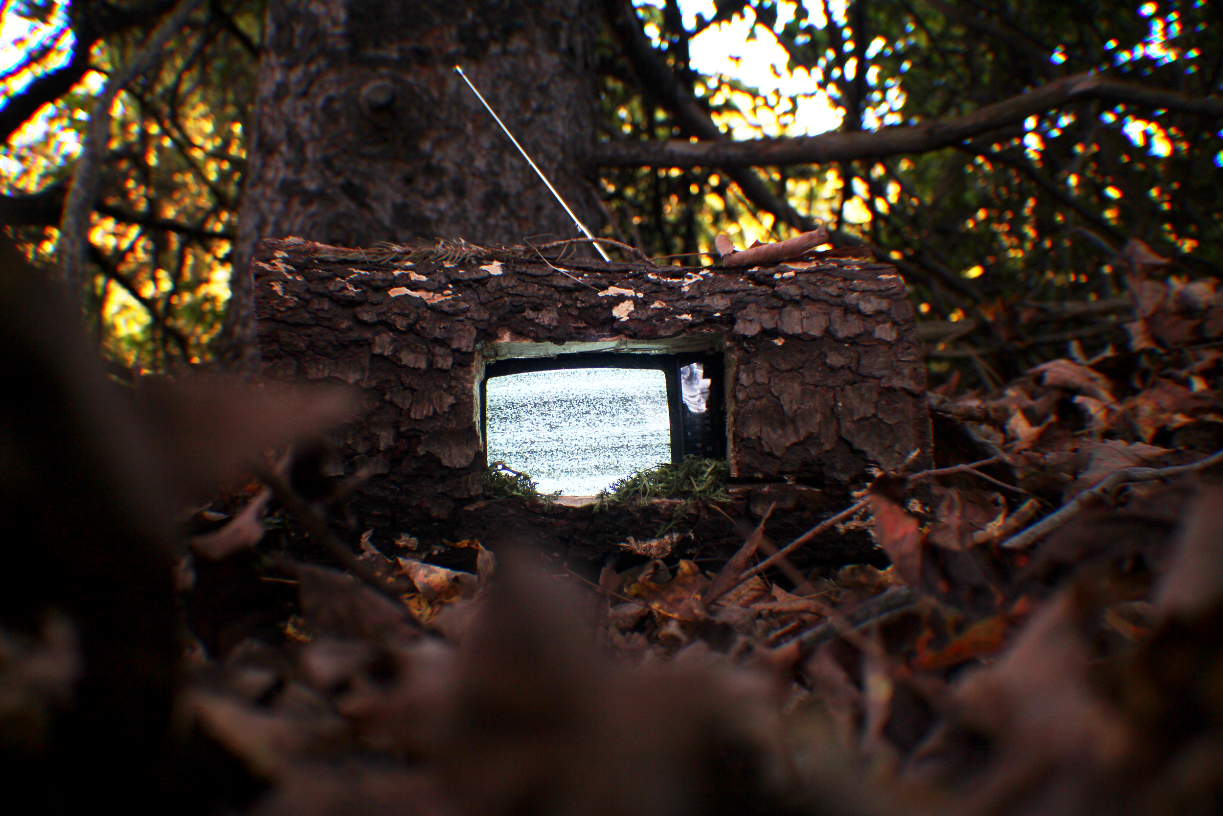 "Found Footage" (8.5" x 11")
