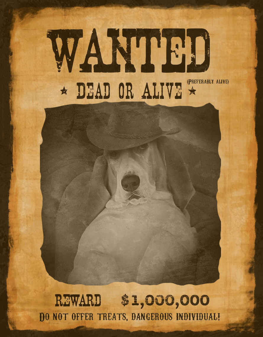 "Wanted"