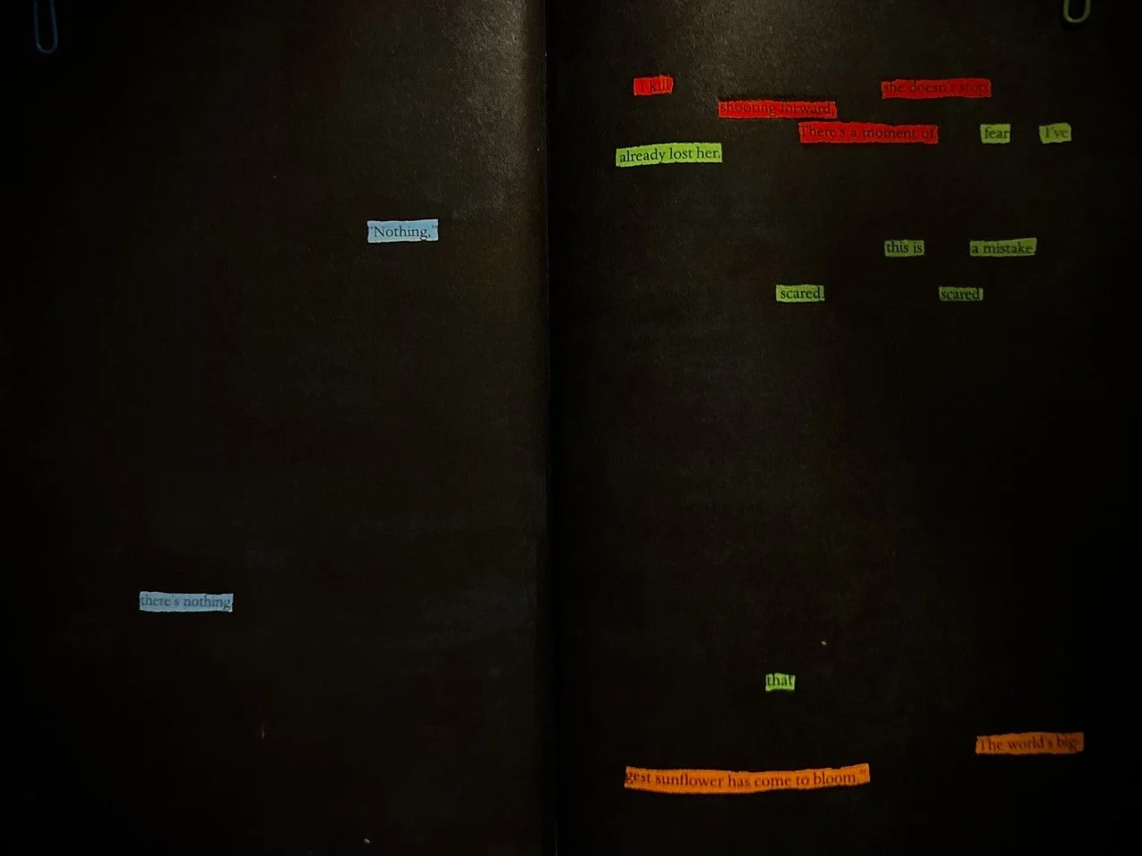 
Week 4: Poem- For this week we were required to create a poem utilizing words we found on the page, and then on the following page, make a drawing to represent that poem