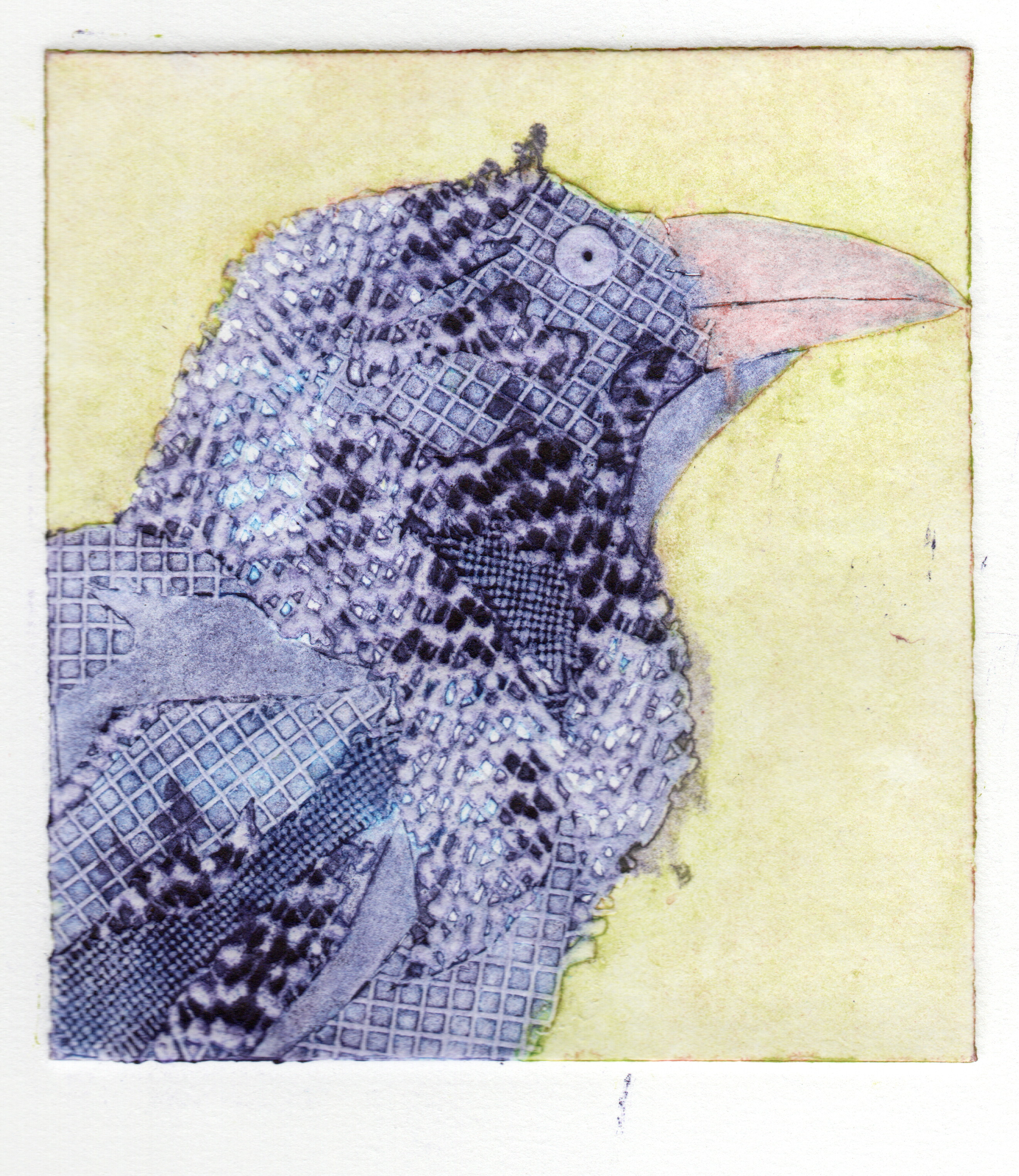 Crow 5.png