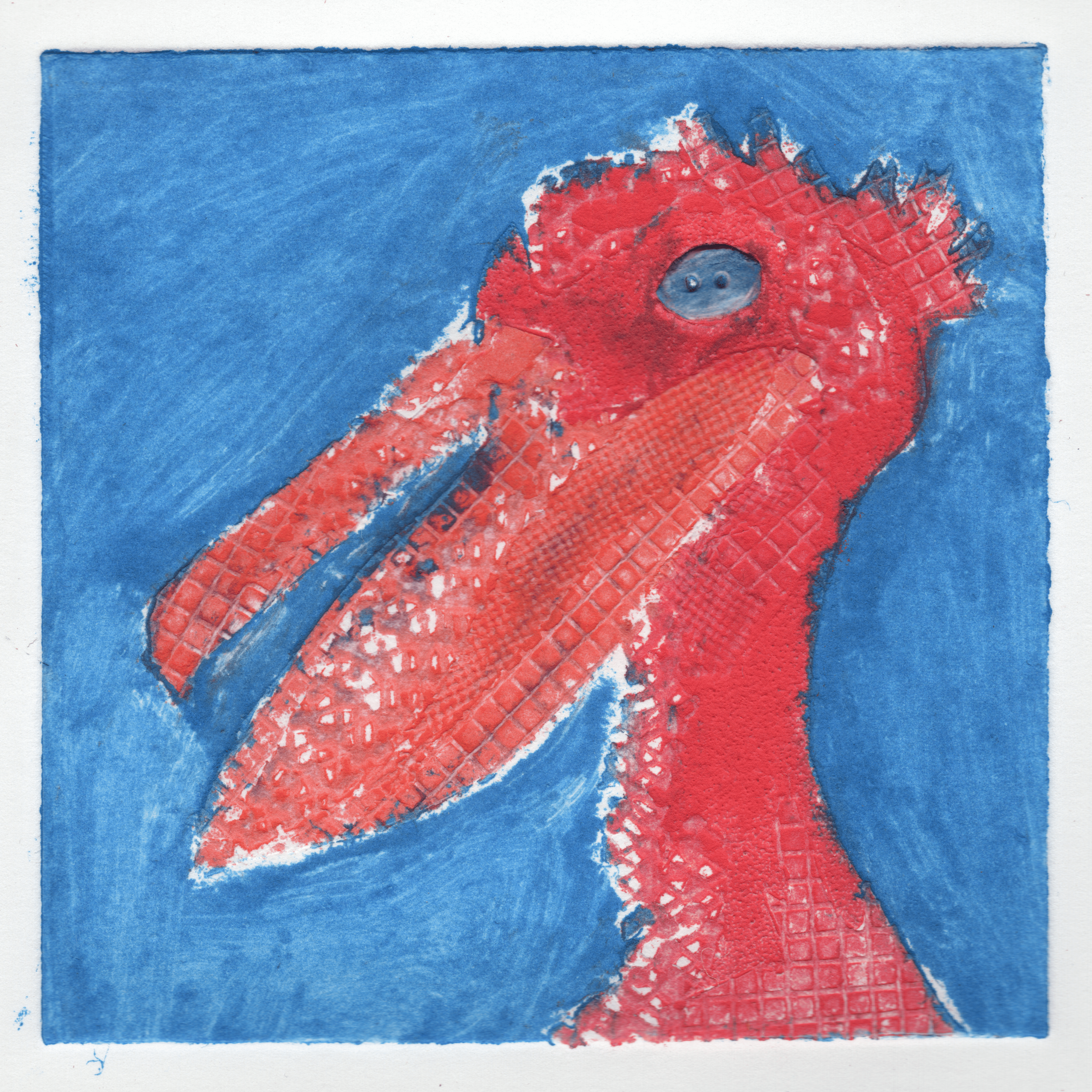 Pelican 1.png