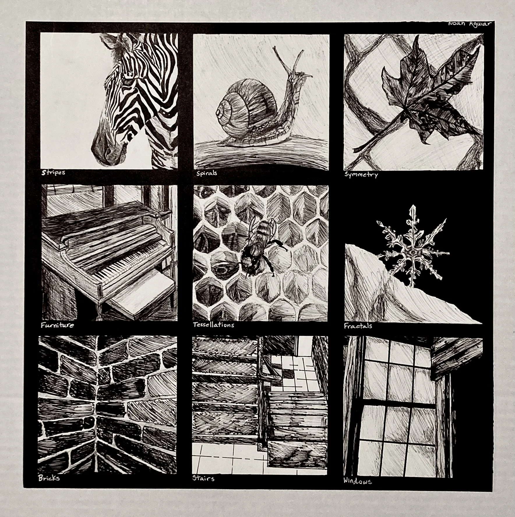 Organic vs. Geometric Forms (17"x17")