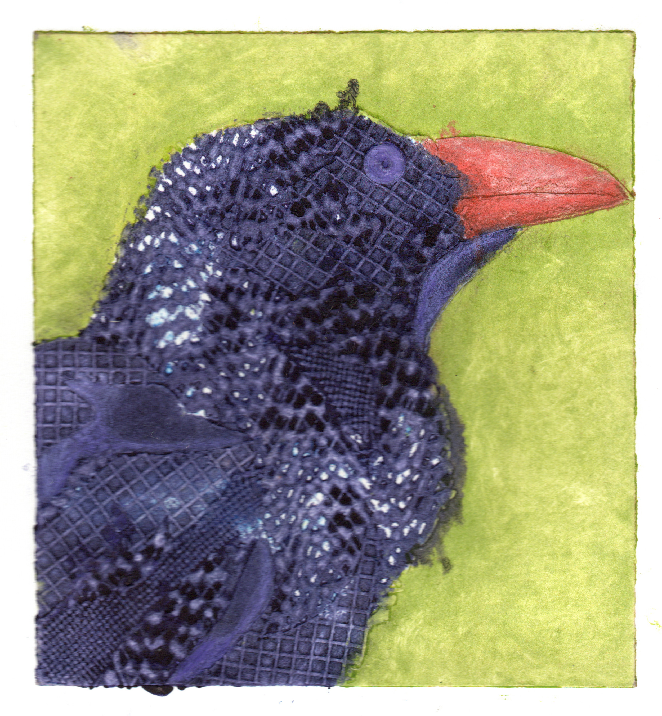 Crow 6.png
