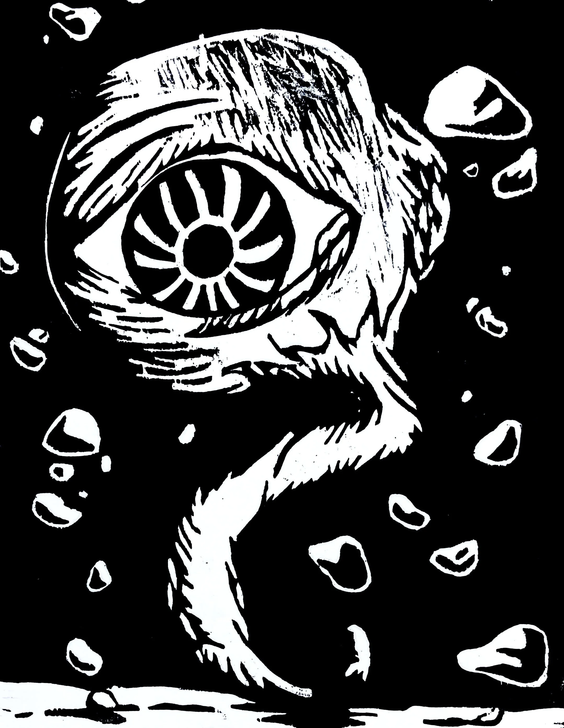 Optic Nerve.jpg
