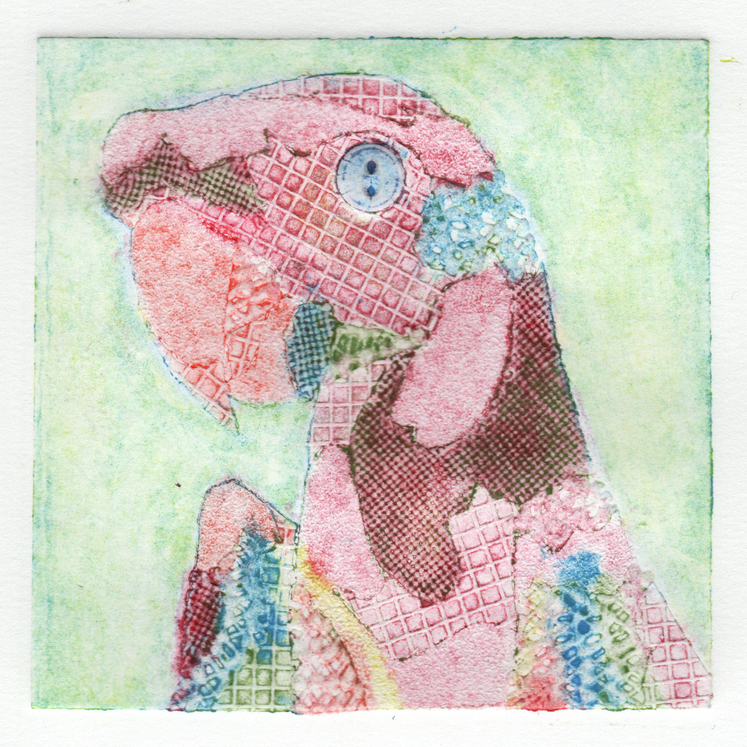 Parrot 2.png