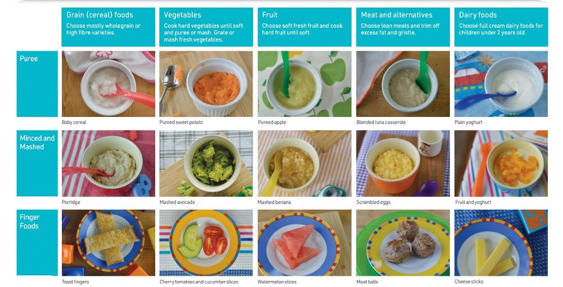 Topic 1: Starting Solids and Food Safety — Sydney Health Literacy Lab
