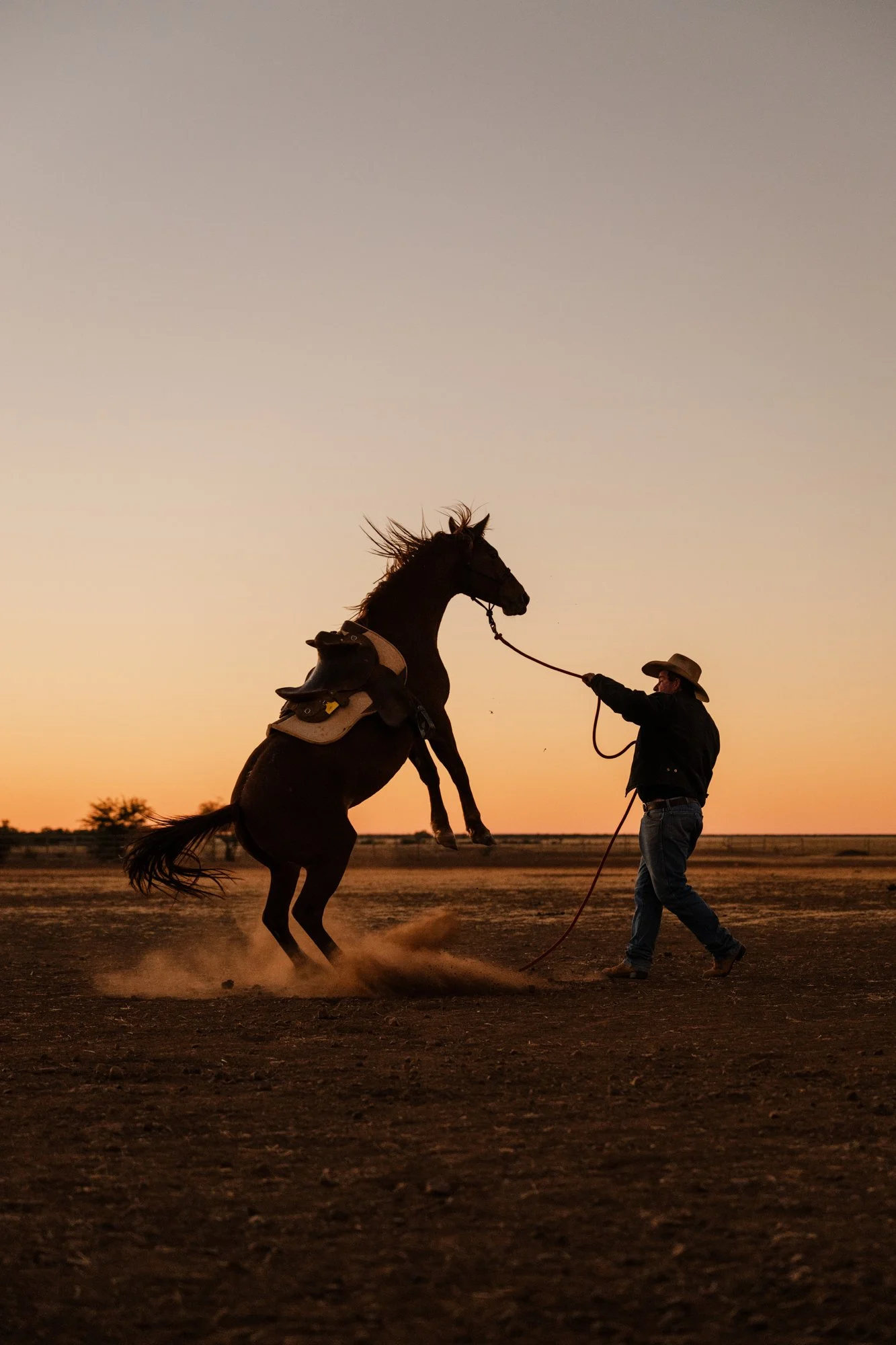 A person in cowboy attire, including a hat, is lassoing a rearing horse during sunset in an open field.