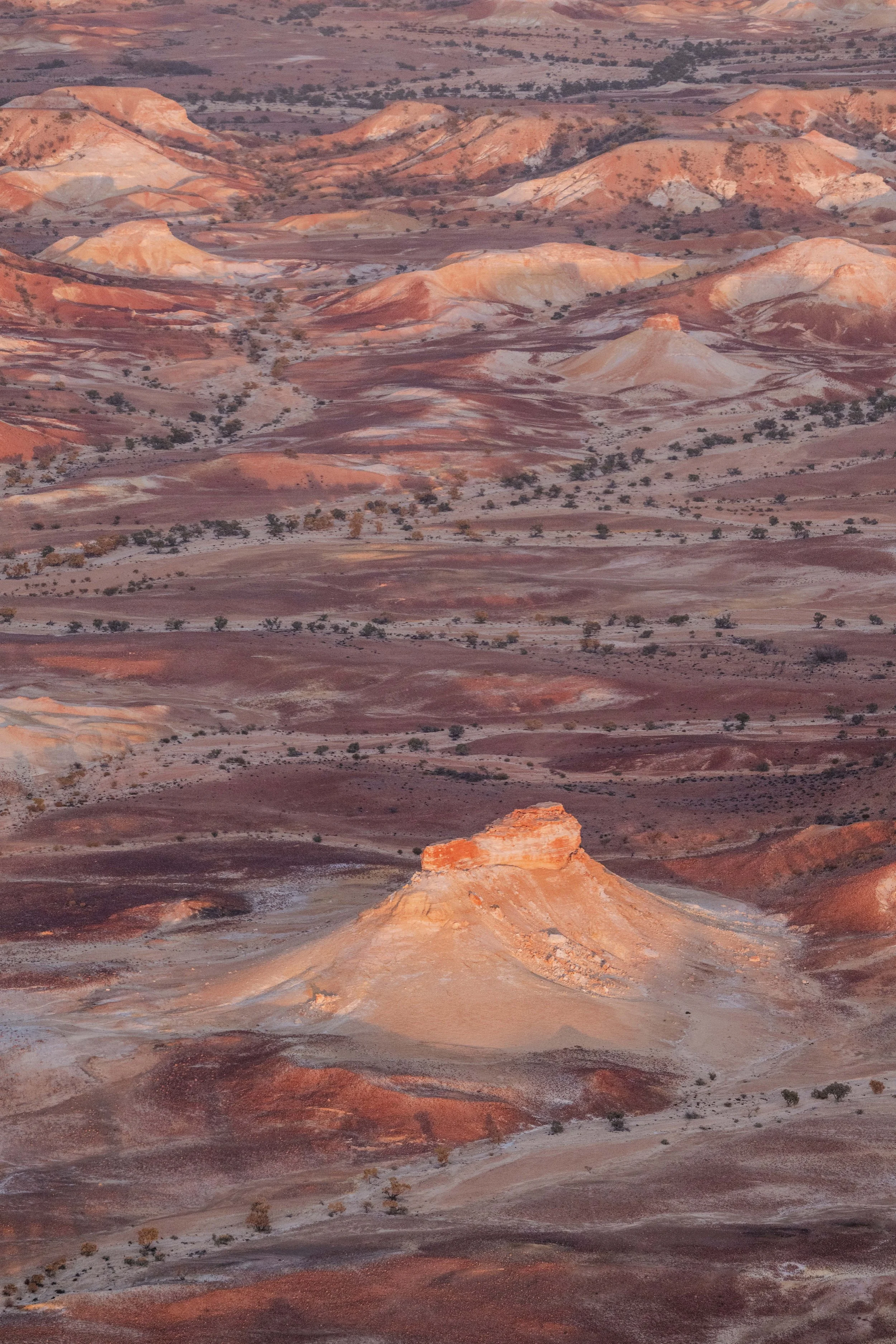 Jessica Howard Painted Hills Web sized.jpg