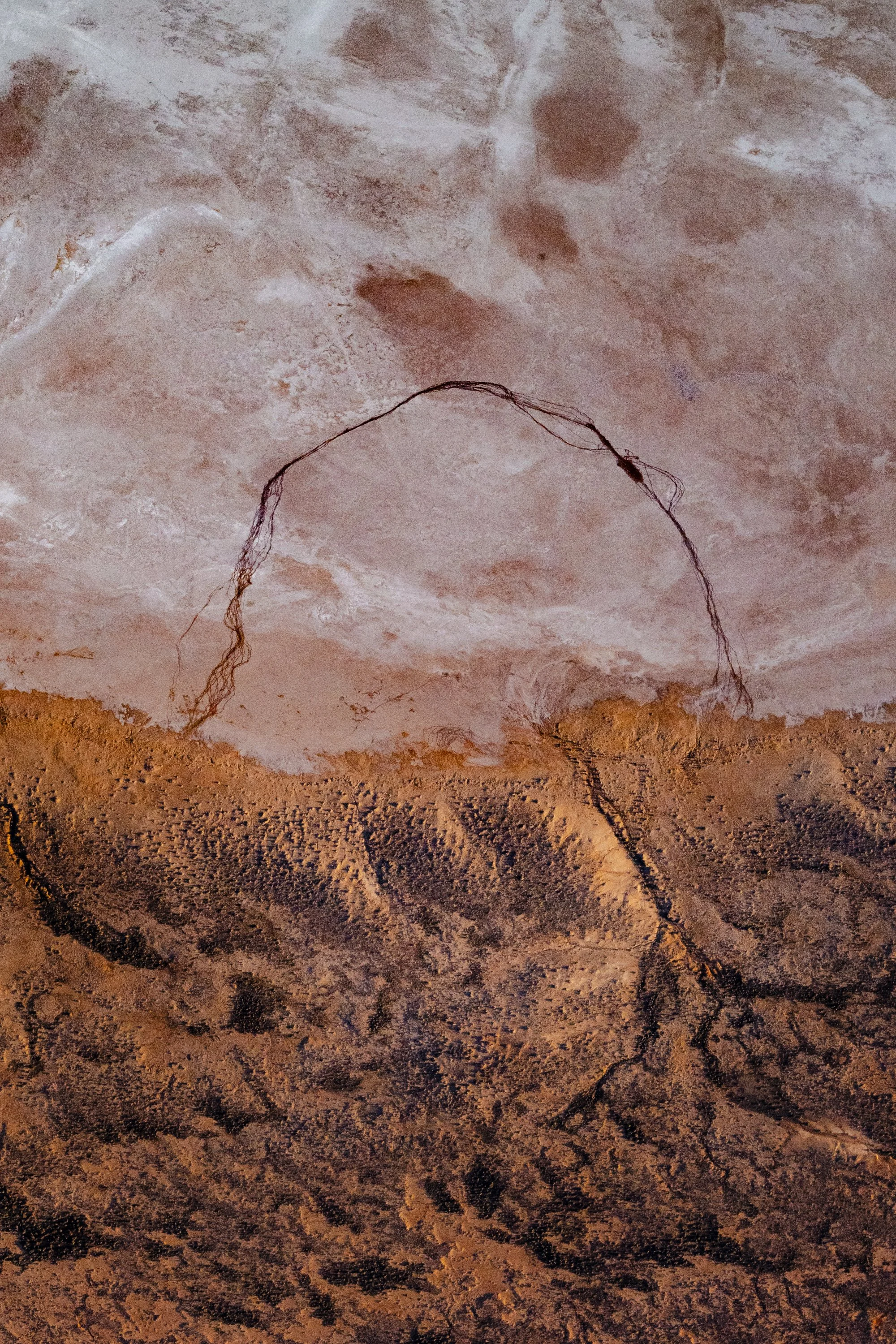 lake-eyre-aerial web-1.jpg
