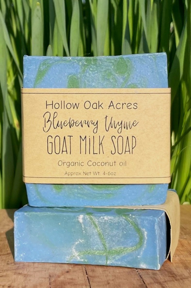 Mandarin Orange Goat Milk Bar Soap | Treasured Roots