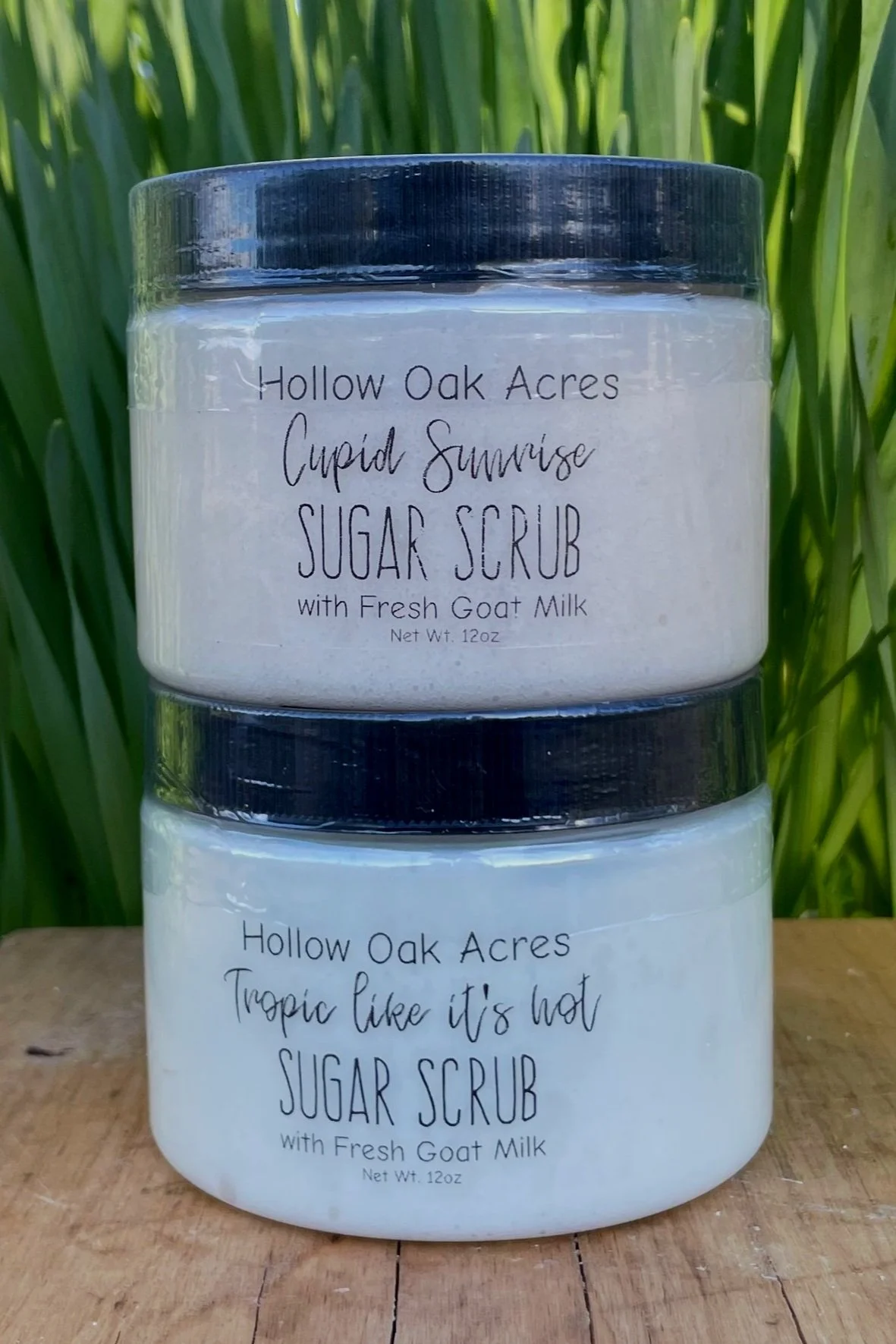 Sugar Scrub 12oz | Fragrance Oil Infused | Choose your scent