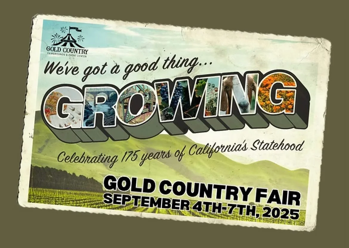 Find us this Thursday-Sunday at Gold Country Fair Grounds in the Placer Building!!🫶🏼🐐🤍