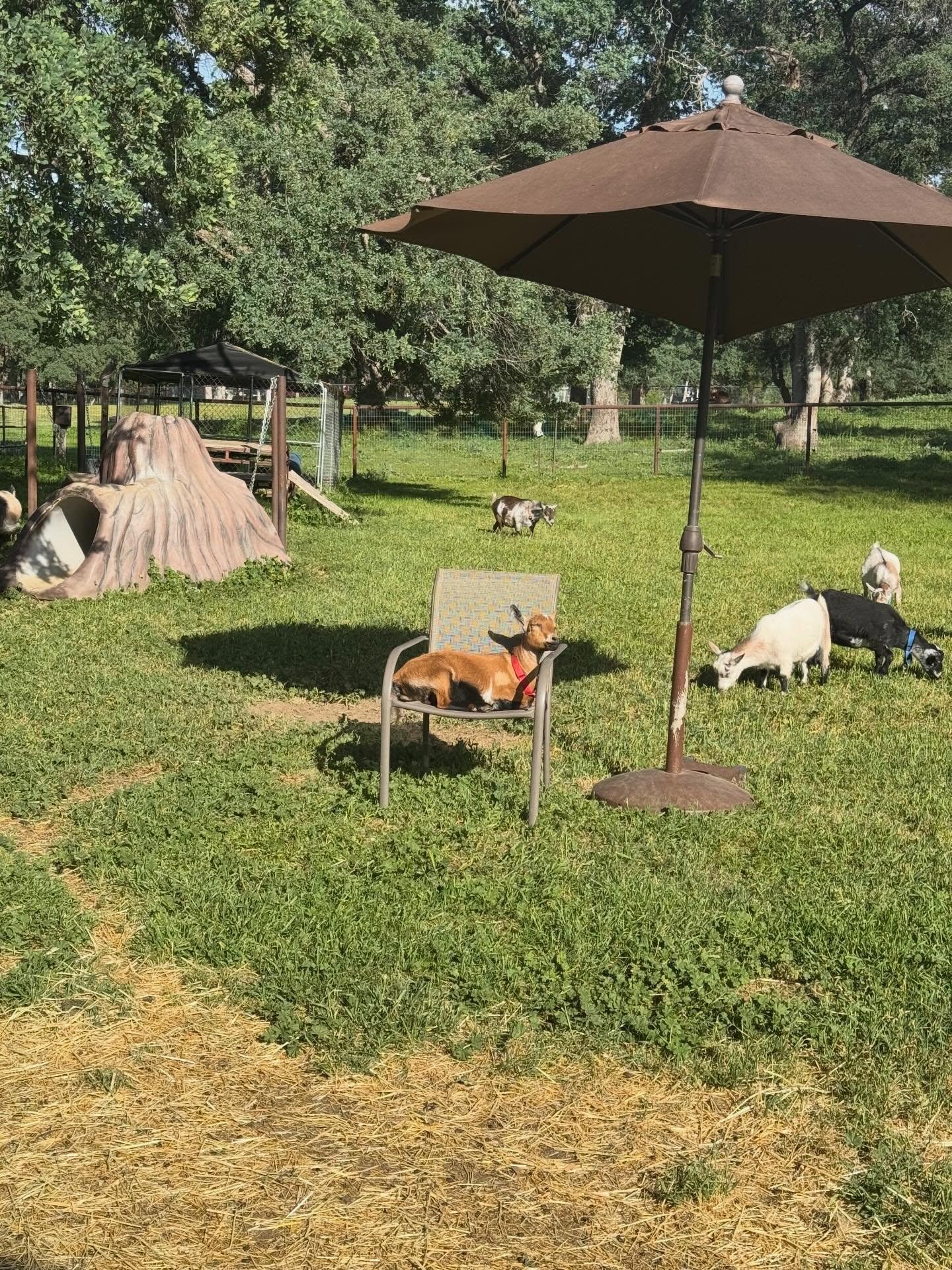 Best life ever! Happy Friday!