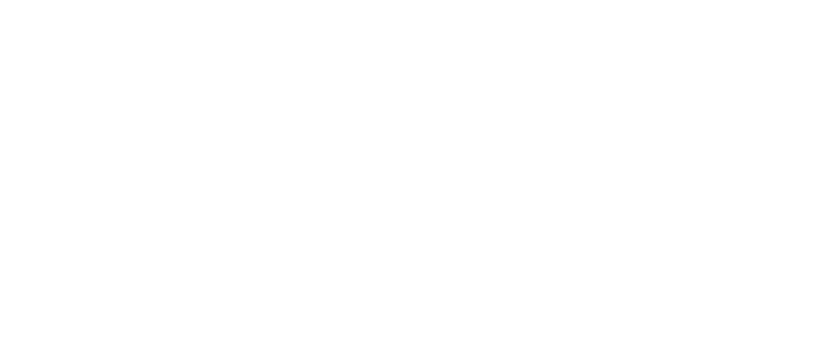 Suplement King Logo.png