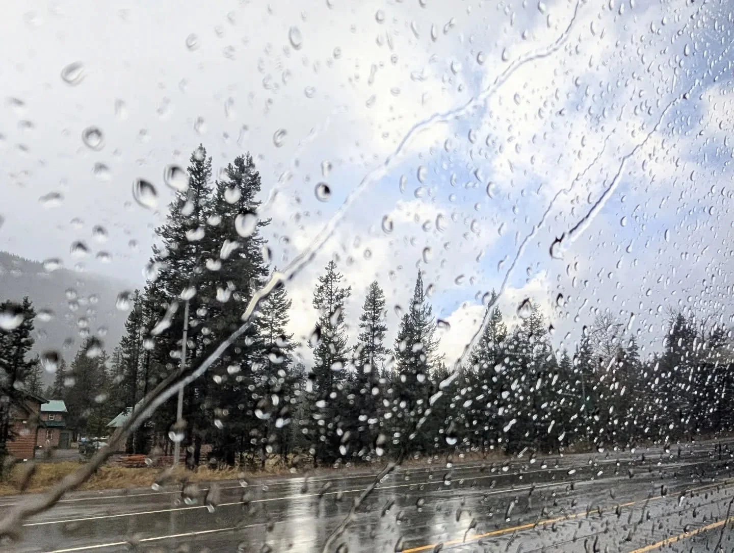 Rain, sun, fog, fall foliage, and city lights. Bus travel home.