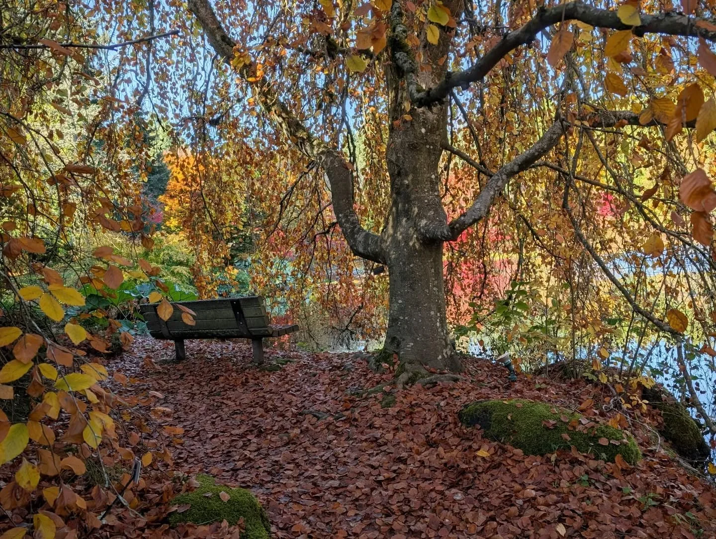 Remembering yesterday's sunny walk