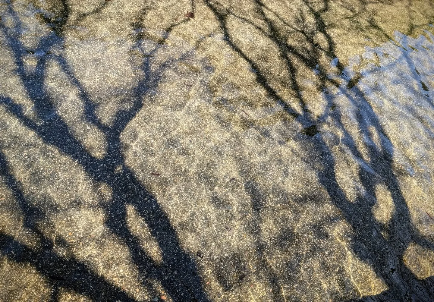 Reflecting pond flowing again. 

#itmustbespring #ThisIsLangara