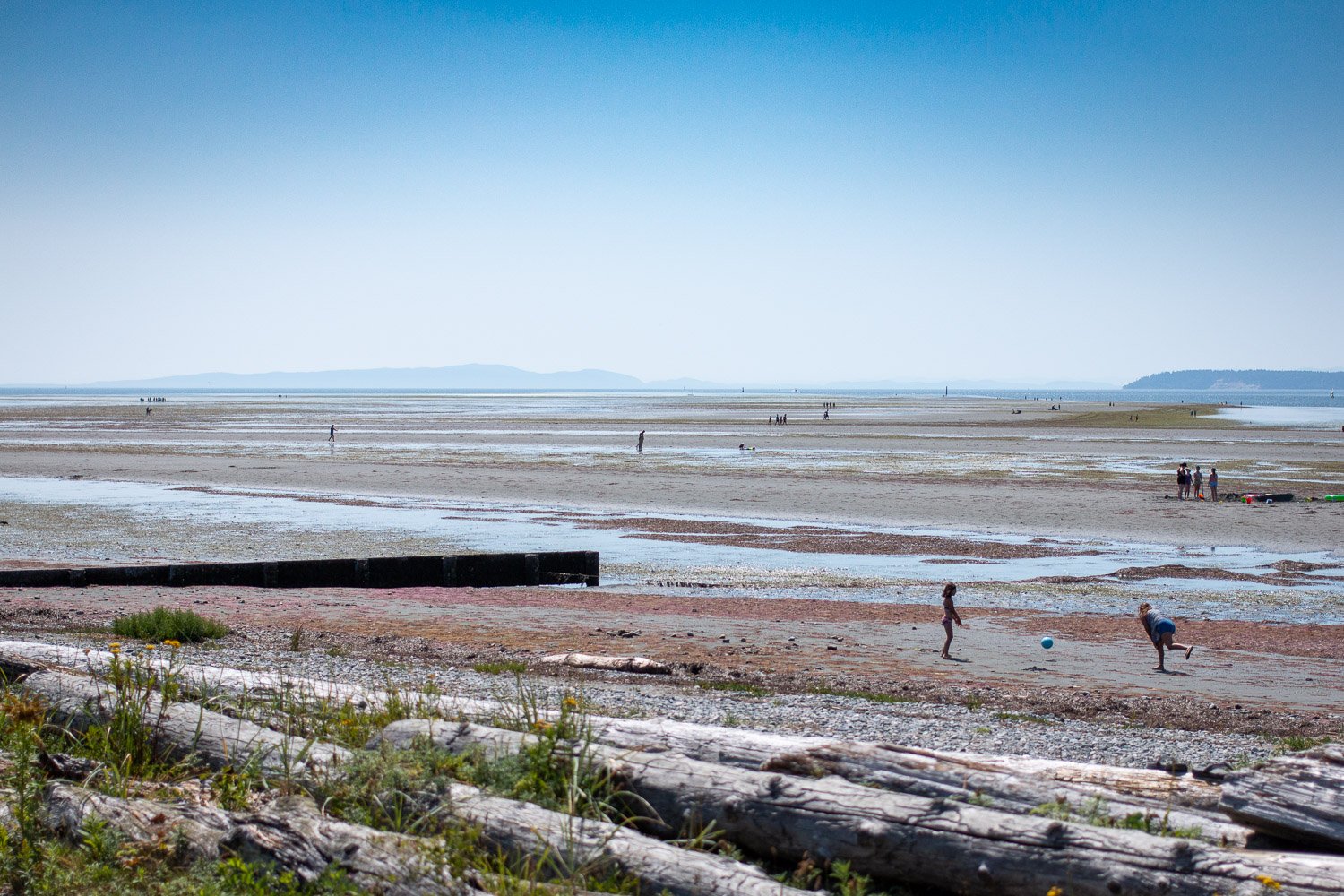Crescent Beach at low tide, 2019