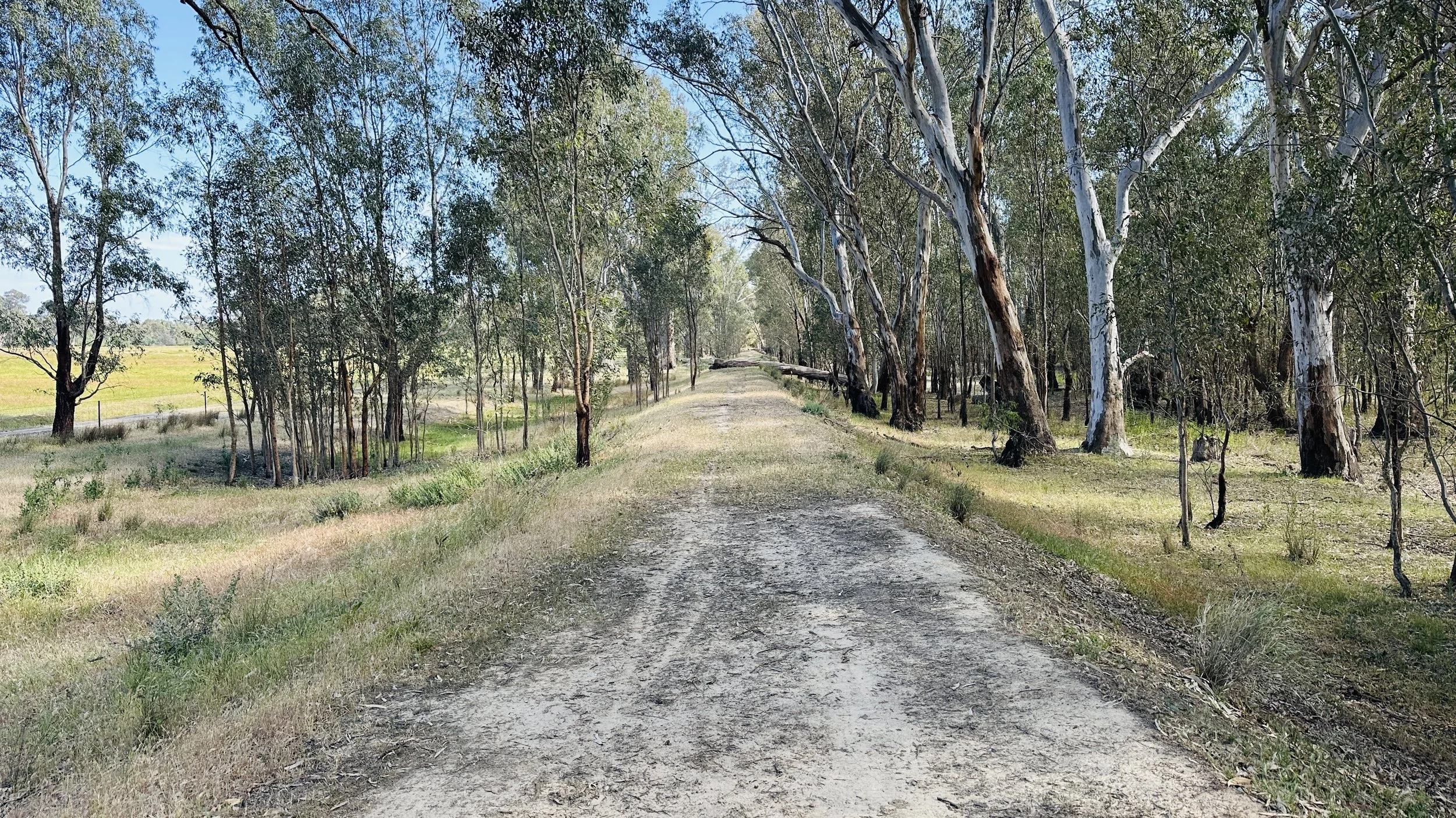 Northern Levee Cross-over Technical Design & Assessment