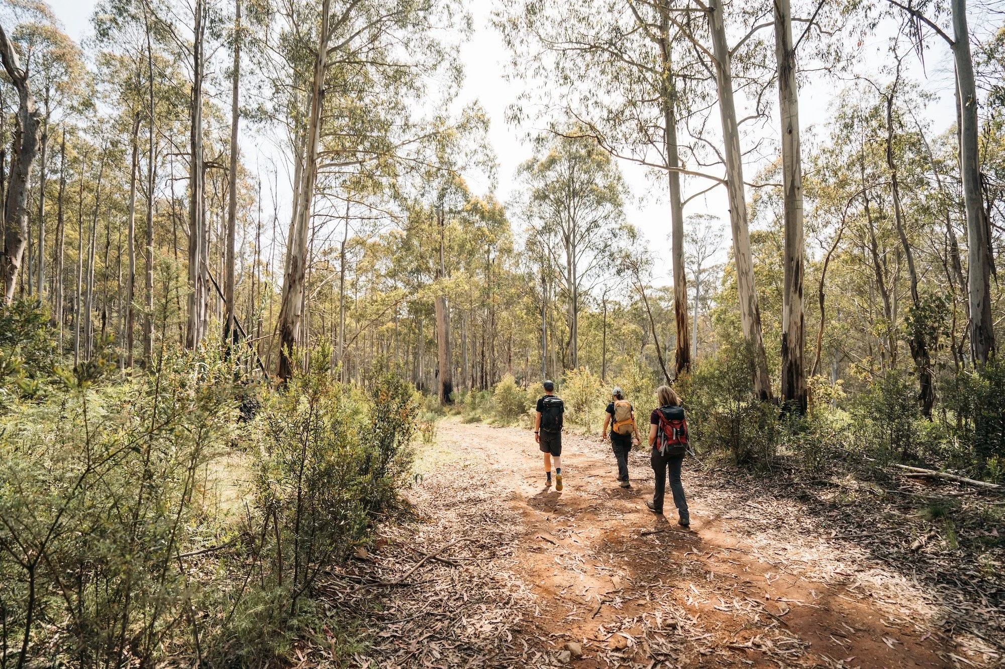 Ten Years on the Hume &amp; Hovell Track