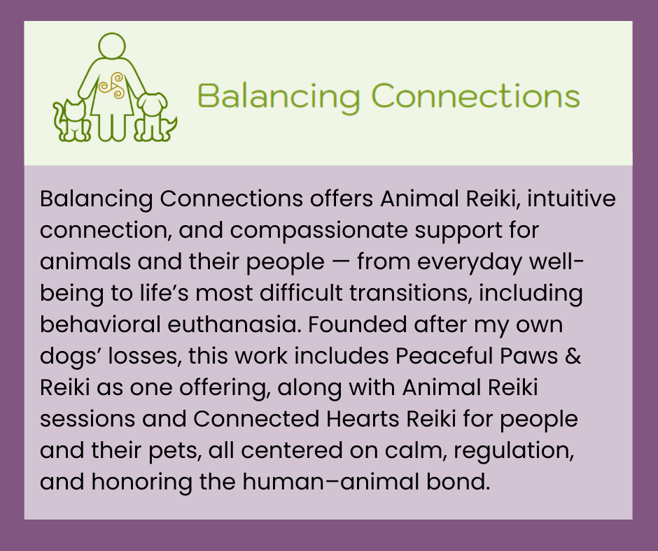 Balancing Connections.png