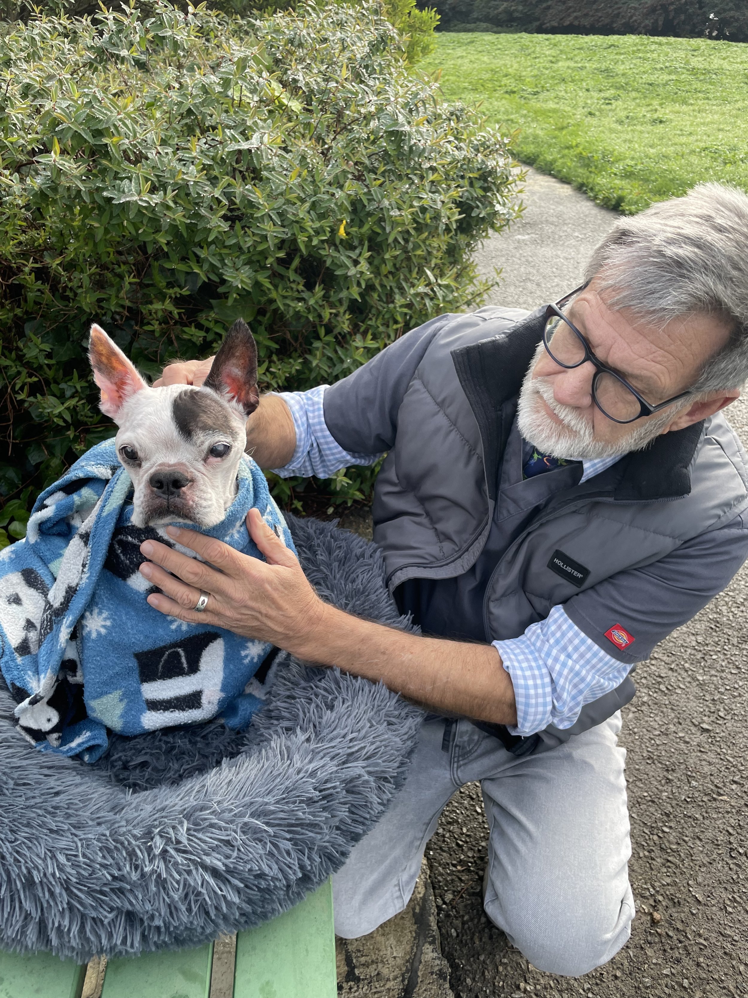 Bearing Witness: A Veterinary Death Doula's Role in Behavioral Euthanasia