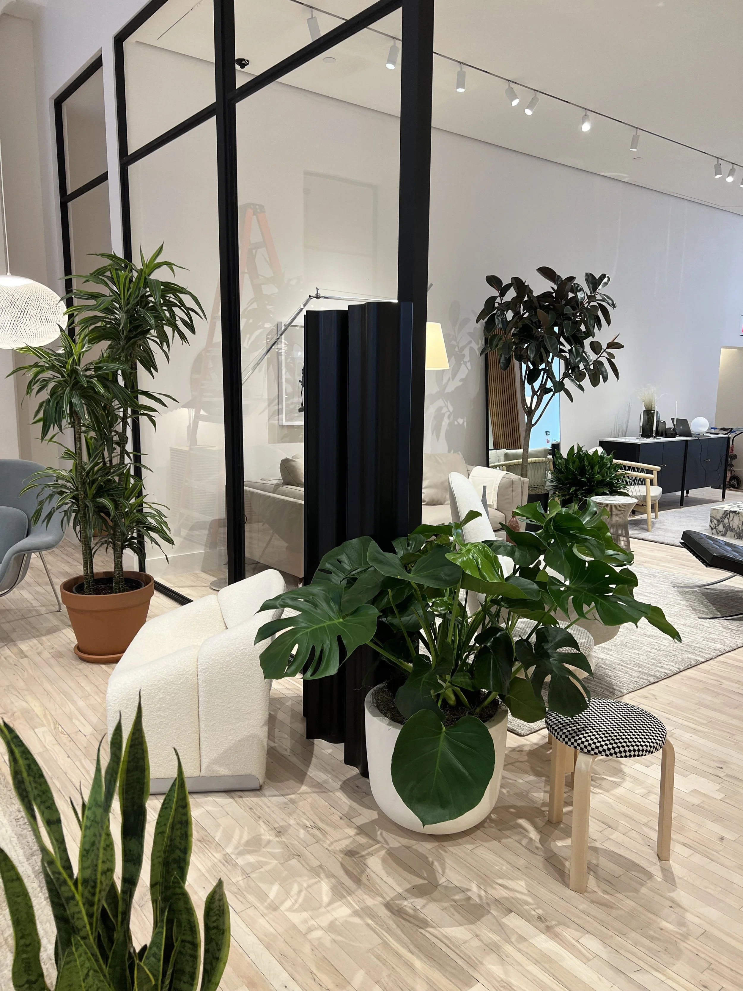 Design Within Reach Soho