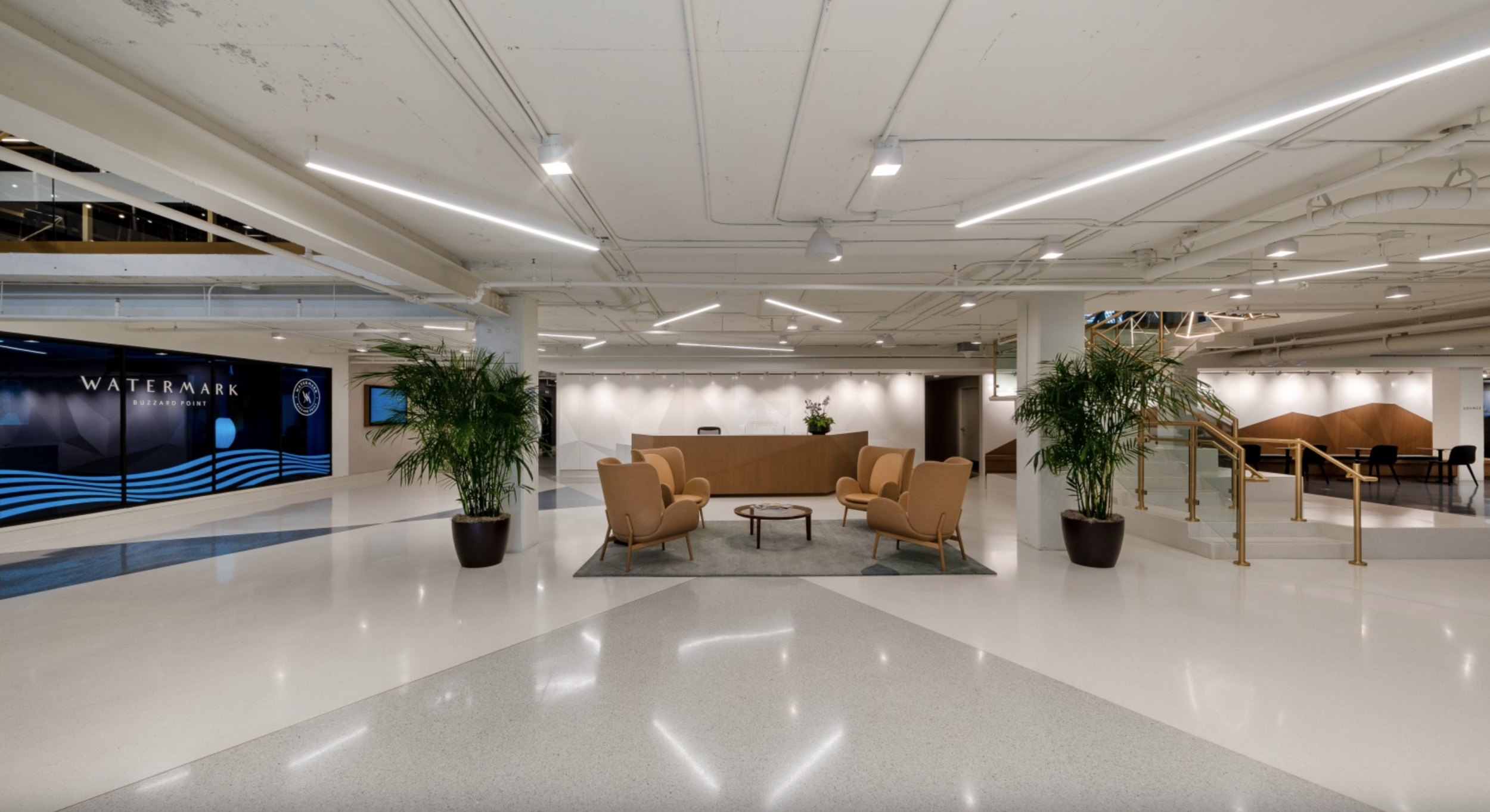 watermark at buzzard point