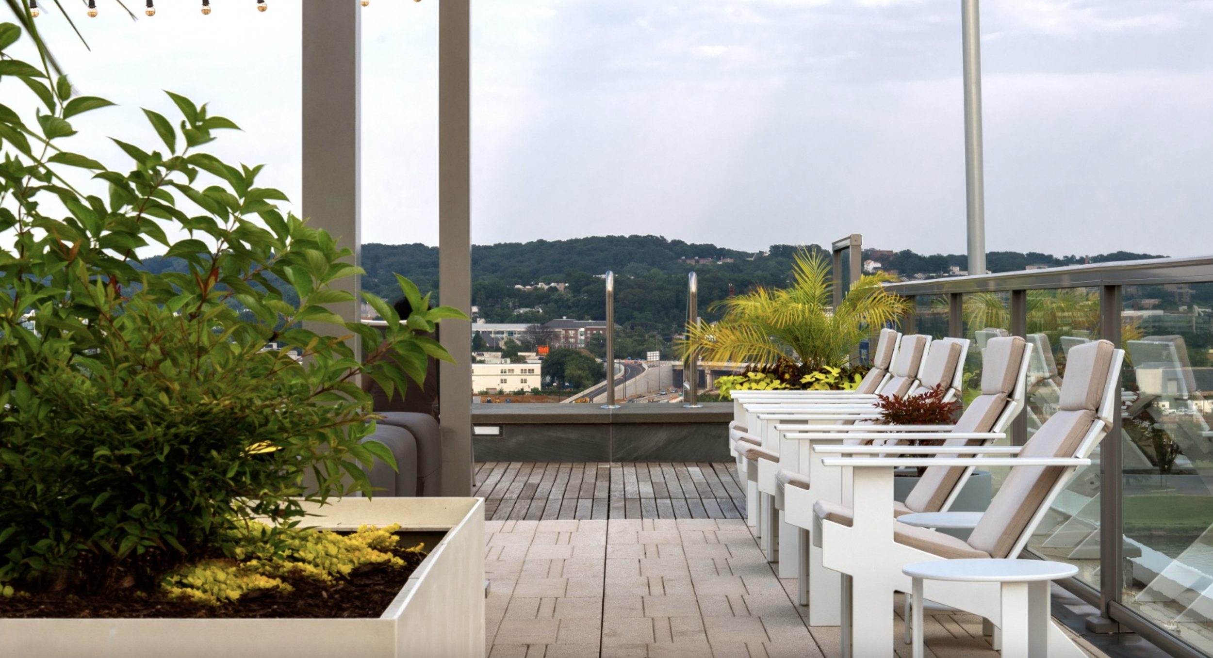 watermark at buzzard point