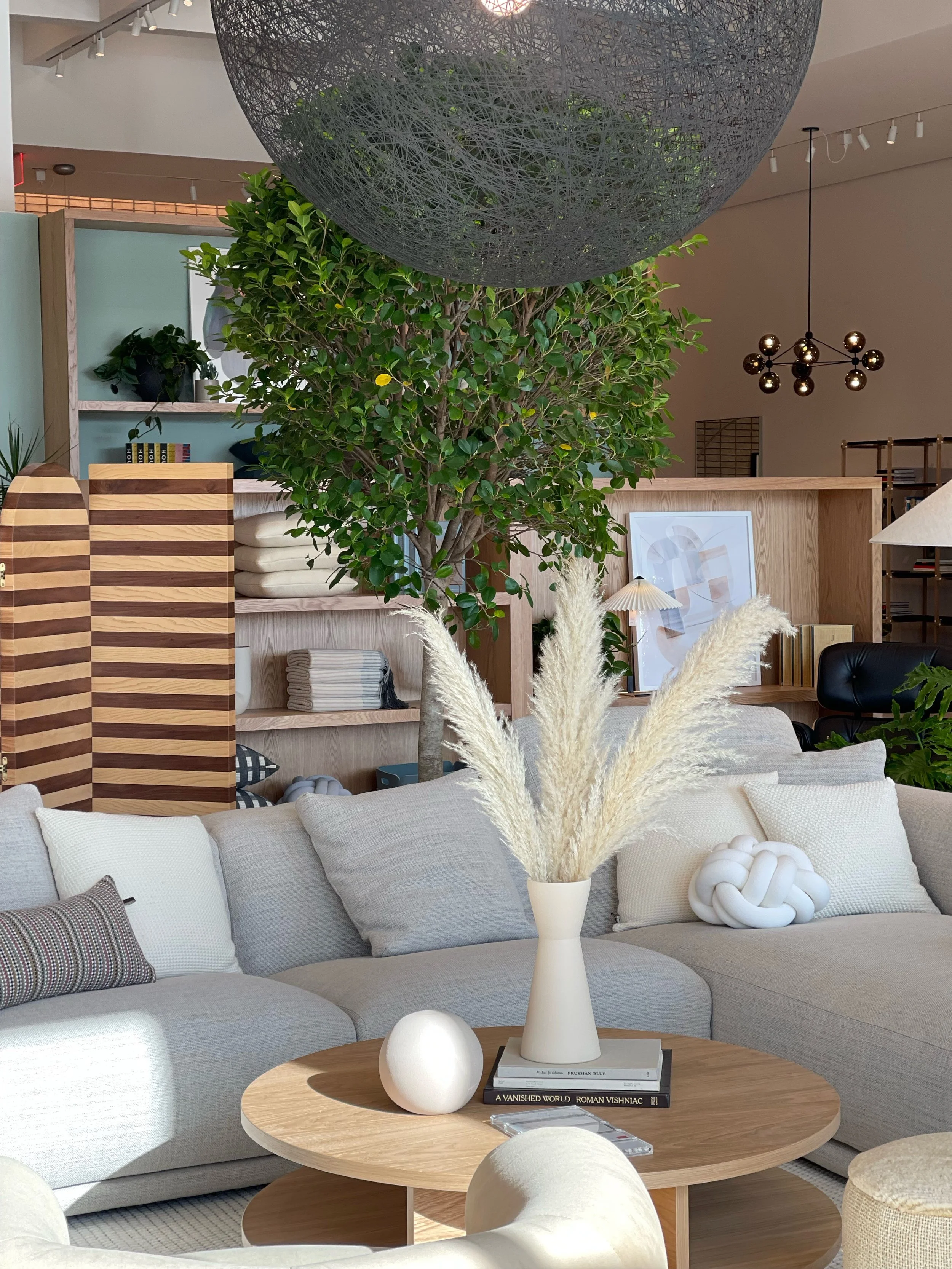 Design Within Reach Grand Rapids