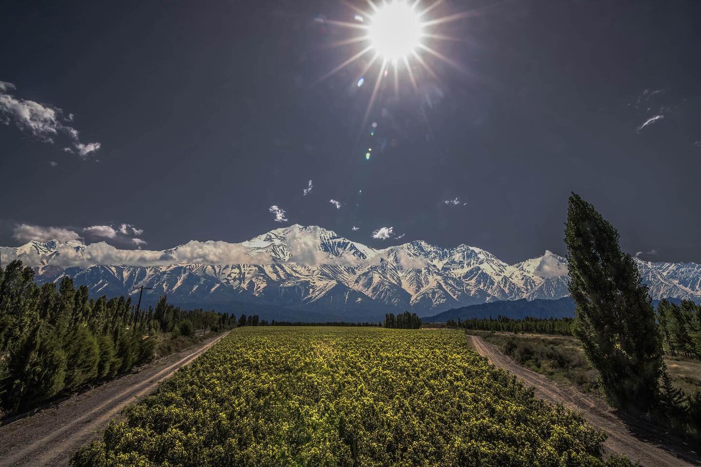 But this is a day that is even more symbolizes the transformation of Argentina&rsquo;s wine industry, and the development of Malbec as an emblum for the country of Argentina worldwide.
&nbsp;
PC: Catena Zapata Winery
&nbsp;
&nbsp;
#worldmalbecday
#ca